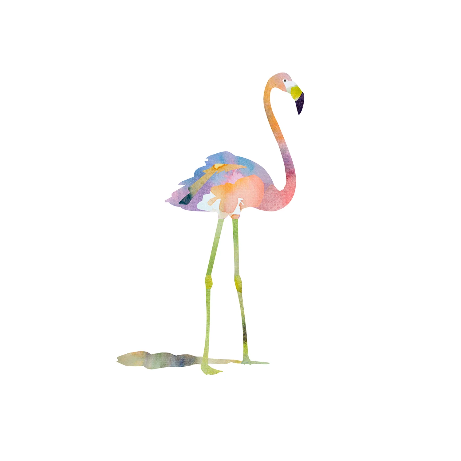 flamingo.jpg