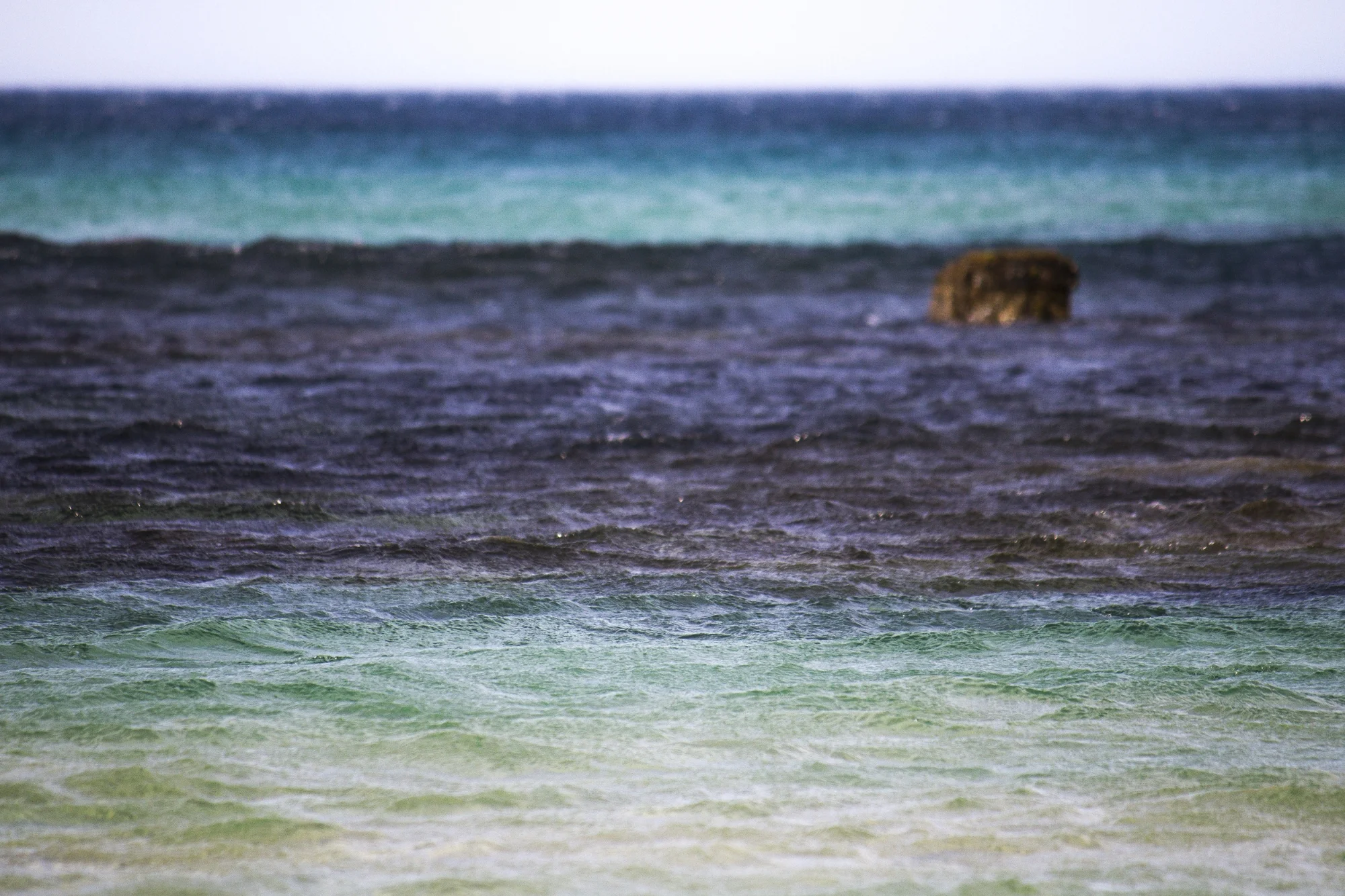 berry indicator rock.JPG