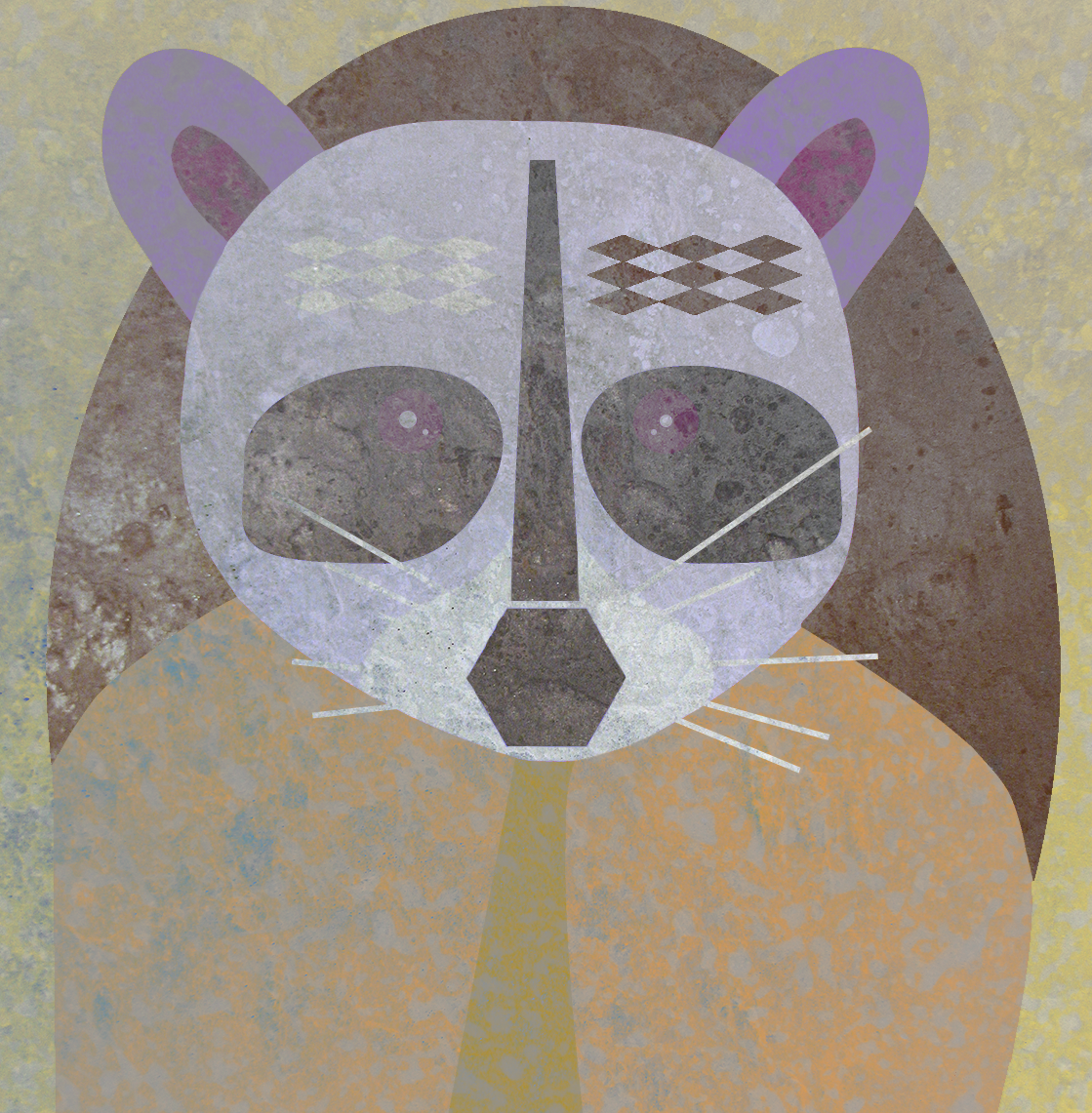 raccoon.png