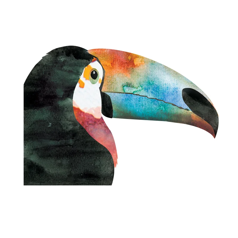 toucan-watercolor-01.jpg