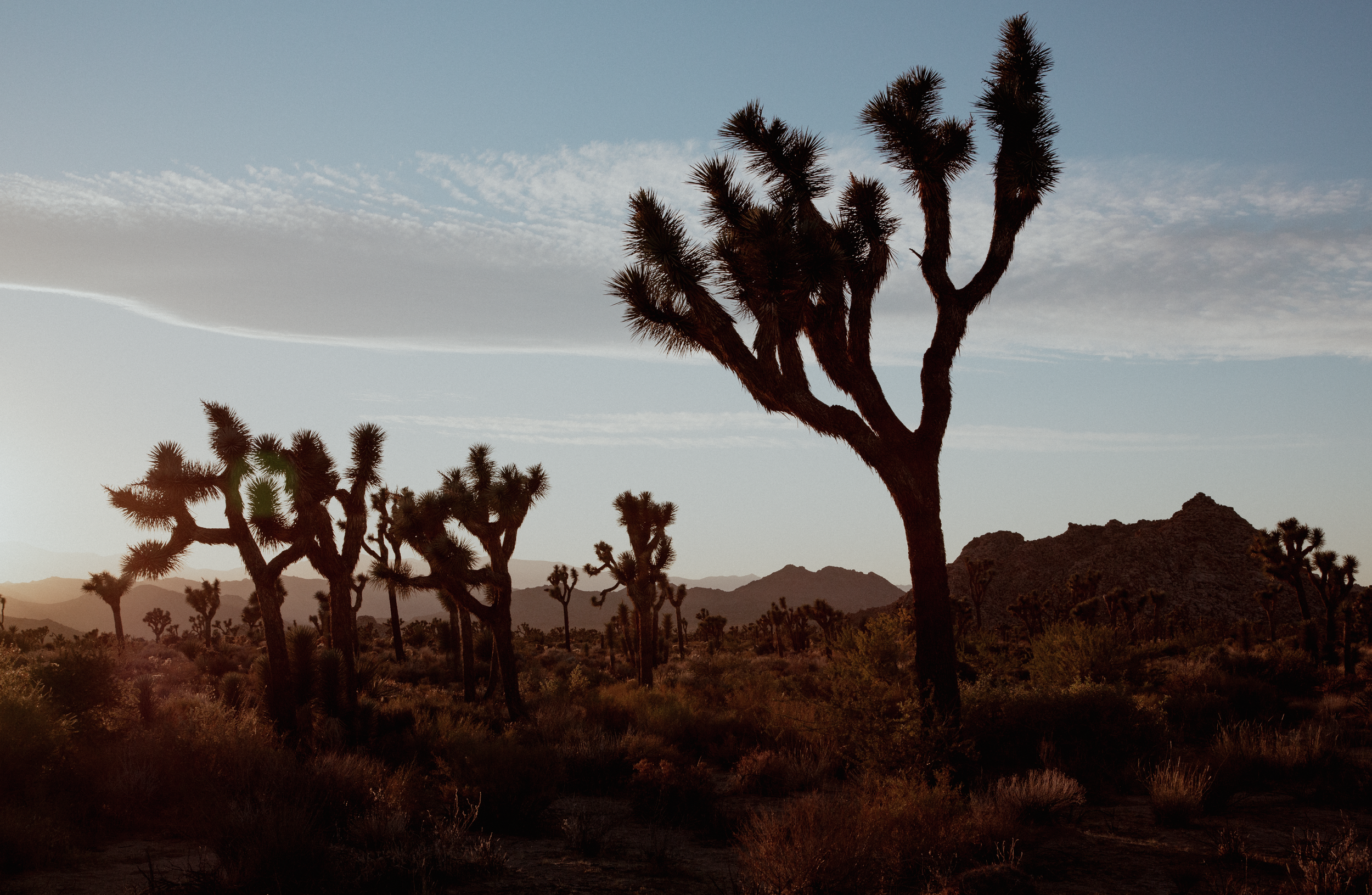 Screen Shot 2022-11-06 at 10.24.35 PM.png