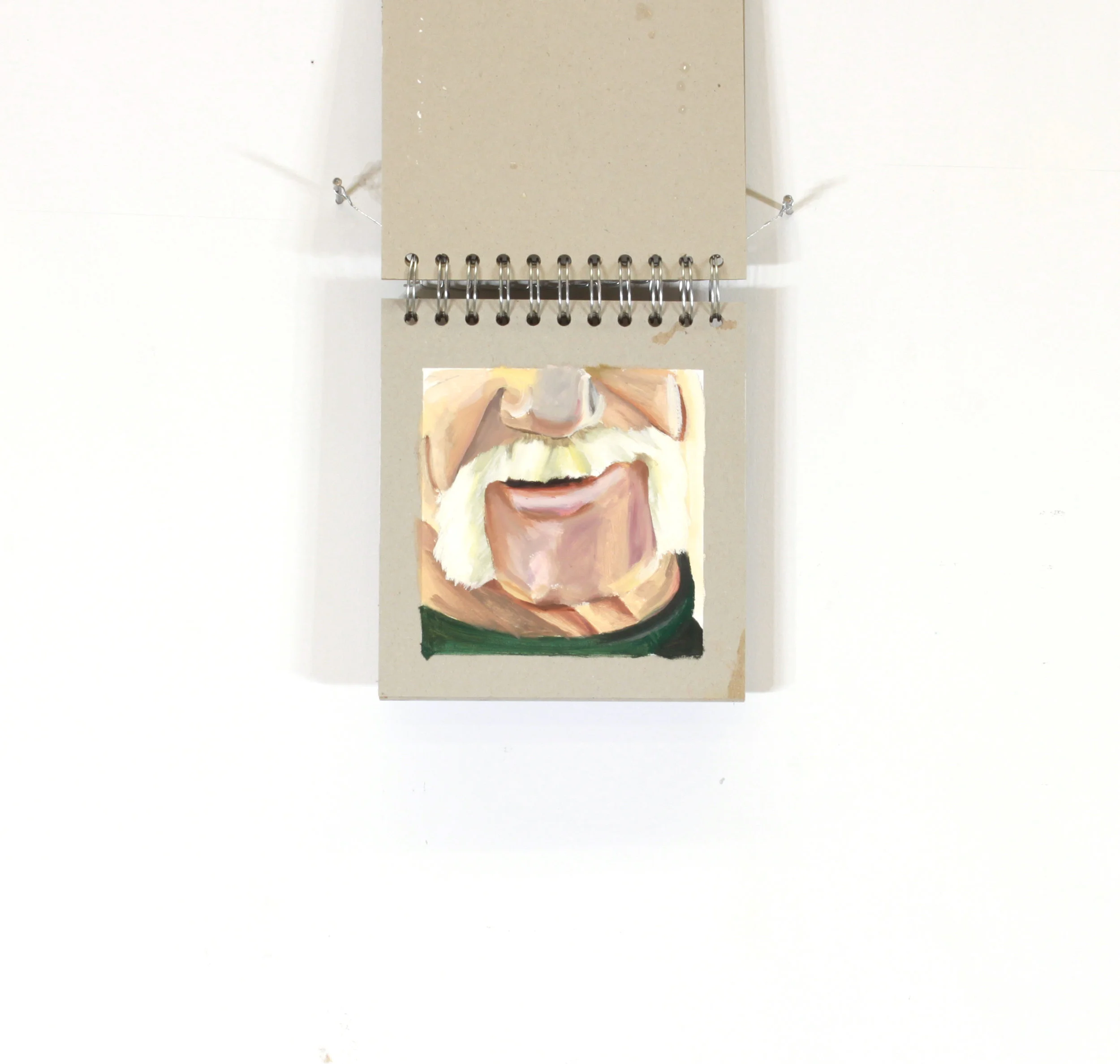 Moustache Book (detail) , 2017 Oil on cardboard Approximately 6” x 5.5”