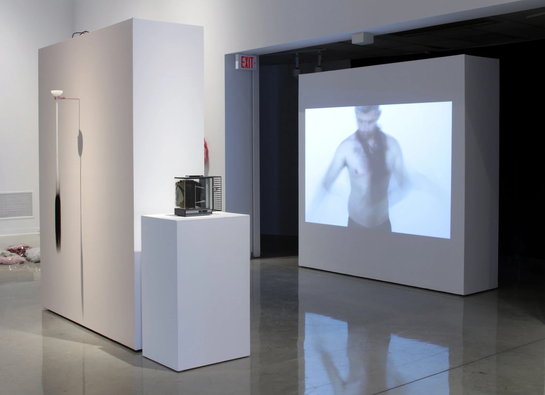 Sleight of Hands, 2017 ArtLab, Western University. London, ON