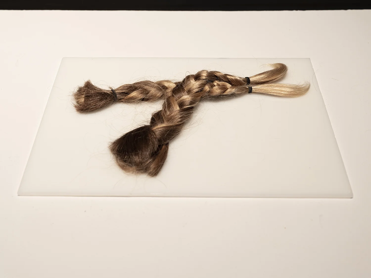 Ponies , 2018 Human hair Braid length: 9” Photo: Mark Kasumovic