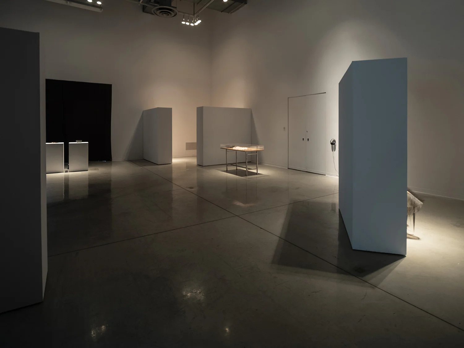 and where is the body?, 2018 ArtLab, Western University. London, ON Photo: Mark Kasumovic