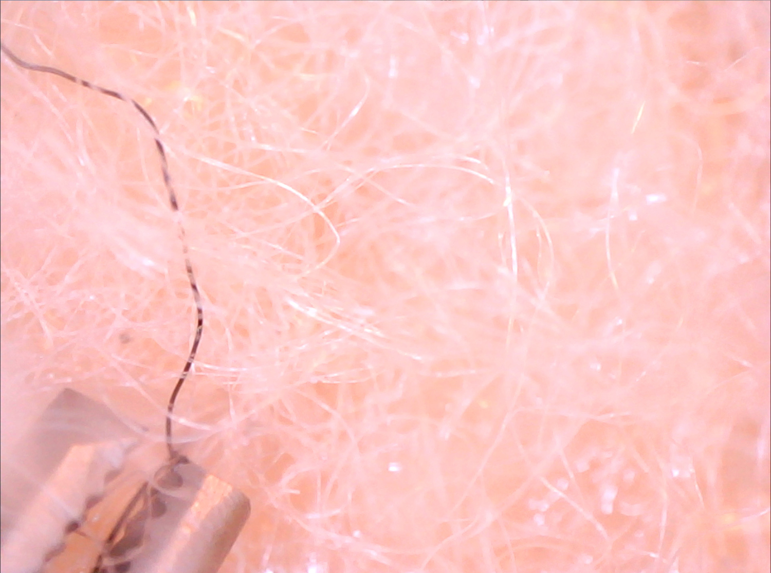 Pull and Poke , 2018 Video (still)