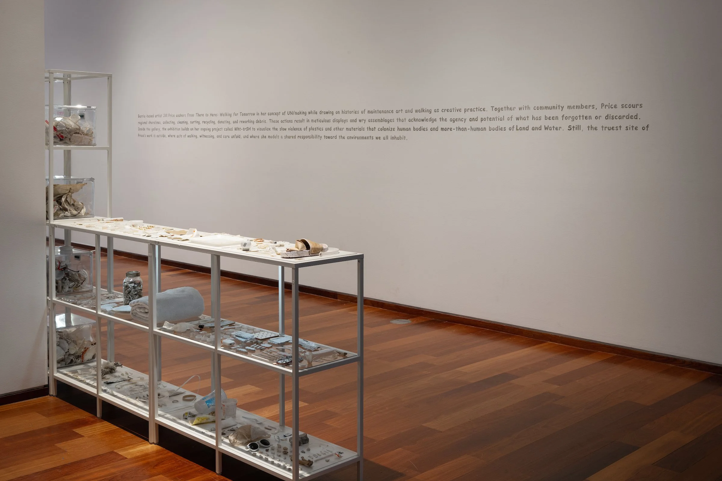 MAC_NZ8_5947.jpg