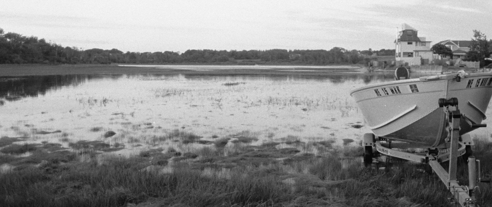 lewis_m_AA012 copy.jpg