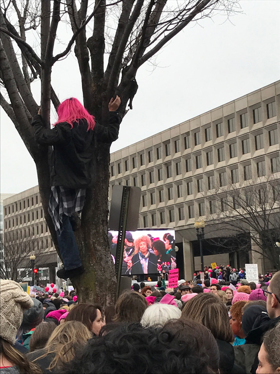 In trying for a better view, her friend fell from the tree.