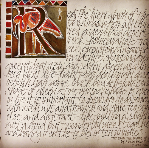 L Doctor Sketchbook: Red is the hieroglyph of flamingo