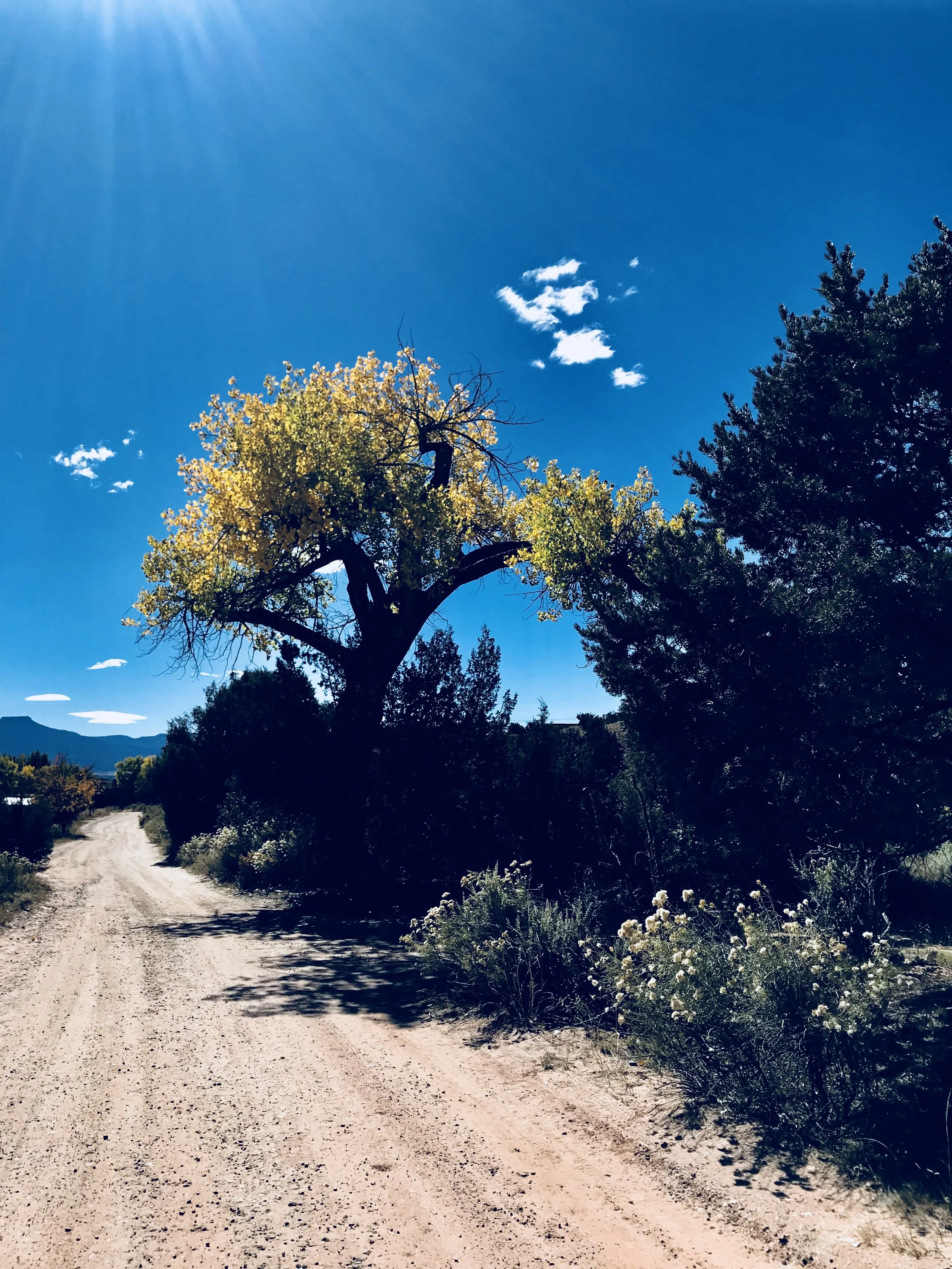 The road to our workshop space at Ghost Ranch
