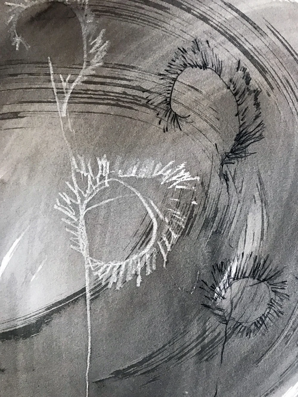 Blind contour drawing of desert grass, Katie Barnes
