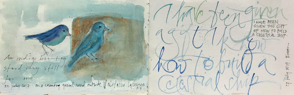 An indigo bunting stood still for me – L Doctor sketchbook