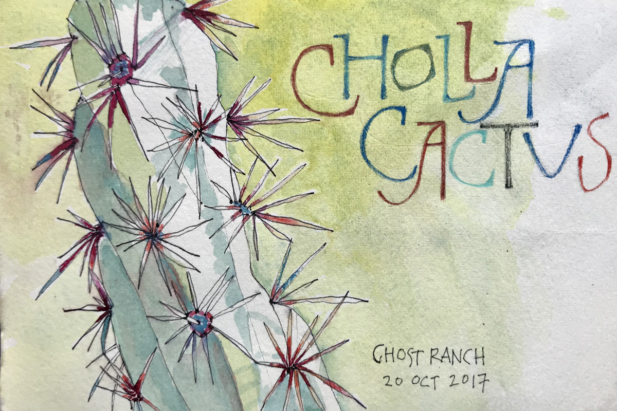 Cholla, Ghost Ranch, New Mexico –L Doctor Sketchbook