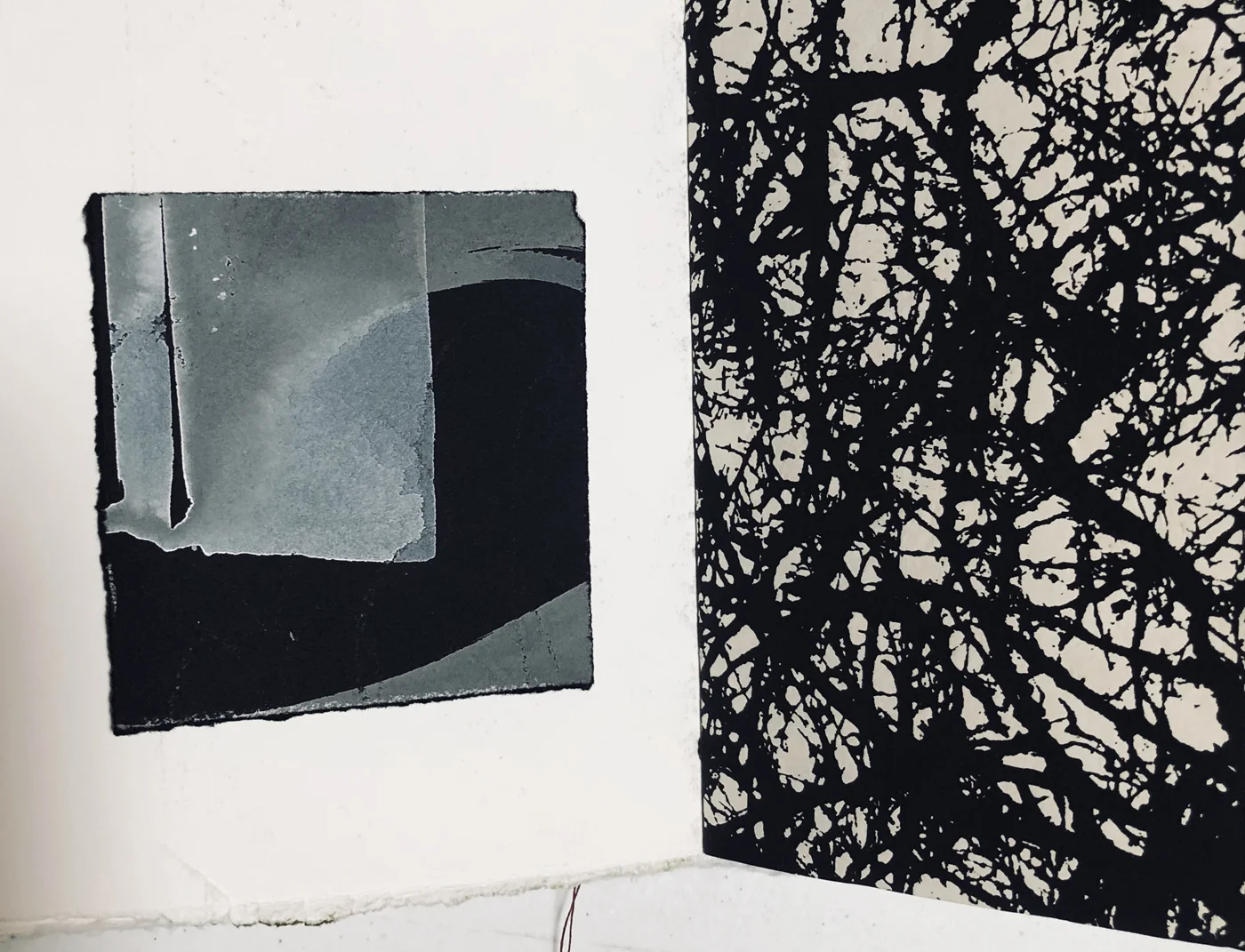 Book page –Lorna McDonnell