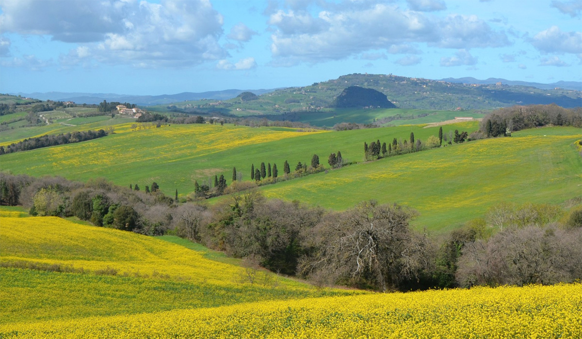 The landscape around our villa in Tuscany