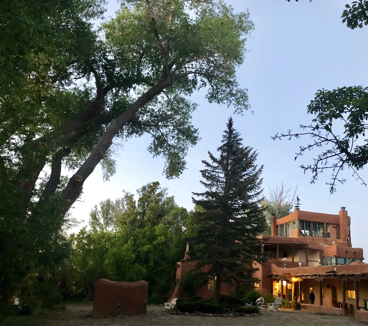 cottonwood.jpg