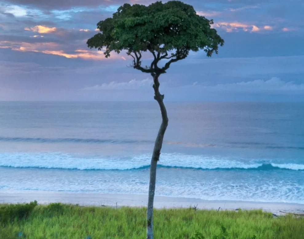 We will stay at Hacienda Barrigona on the Nicoya Peninsula