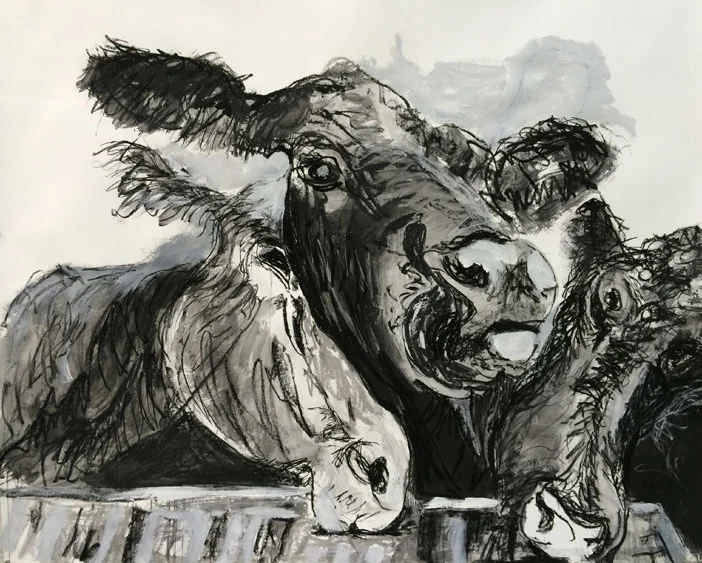 Copy of MOOOVE