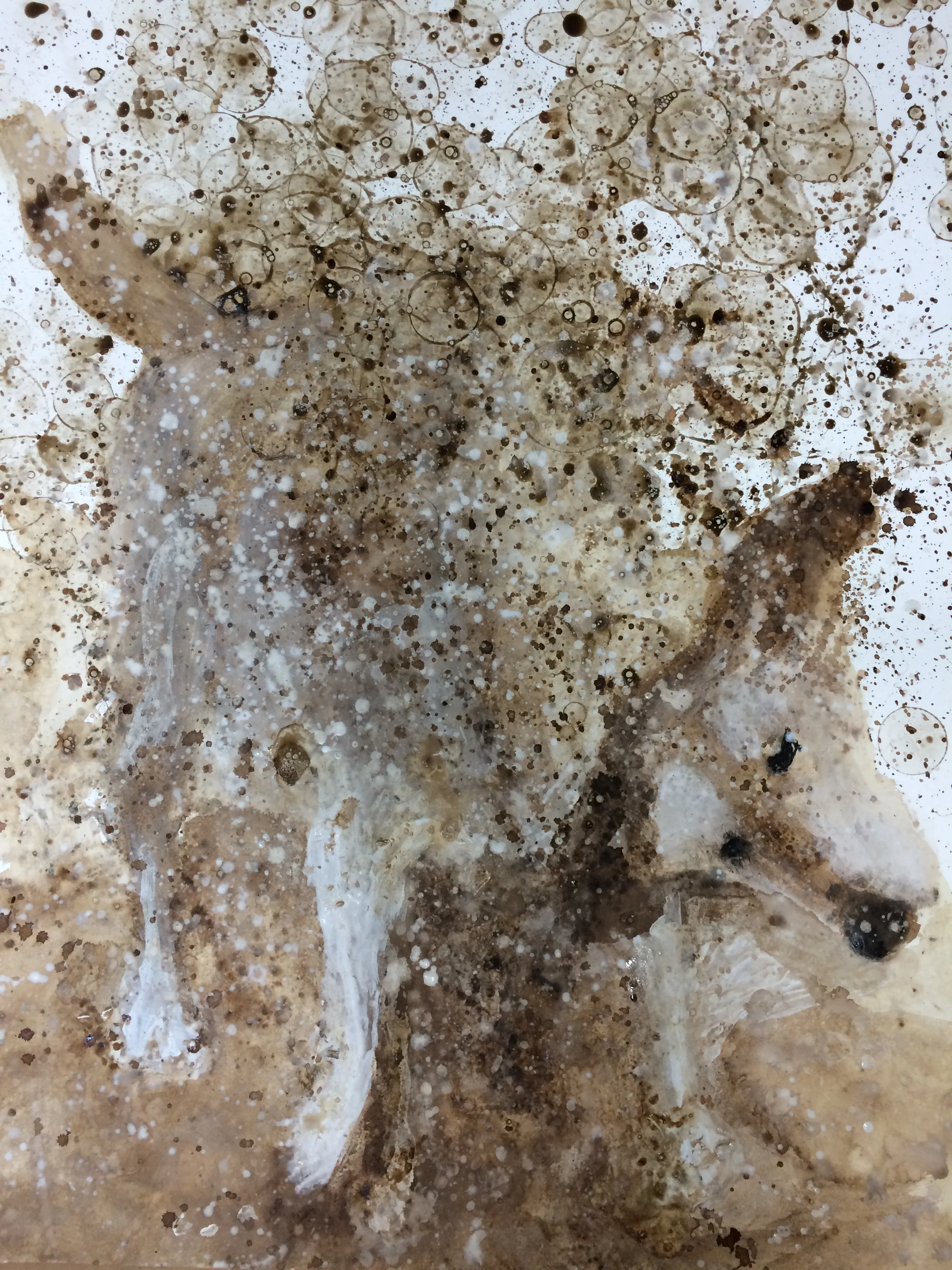 shake shake shake -Anna 33" X 20" coffee, walnut ink and bubbles