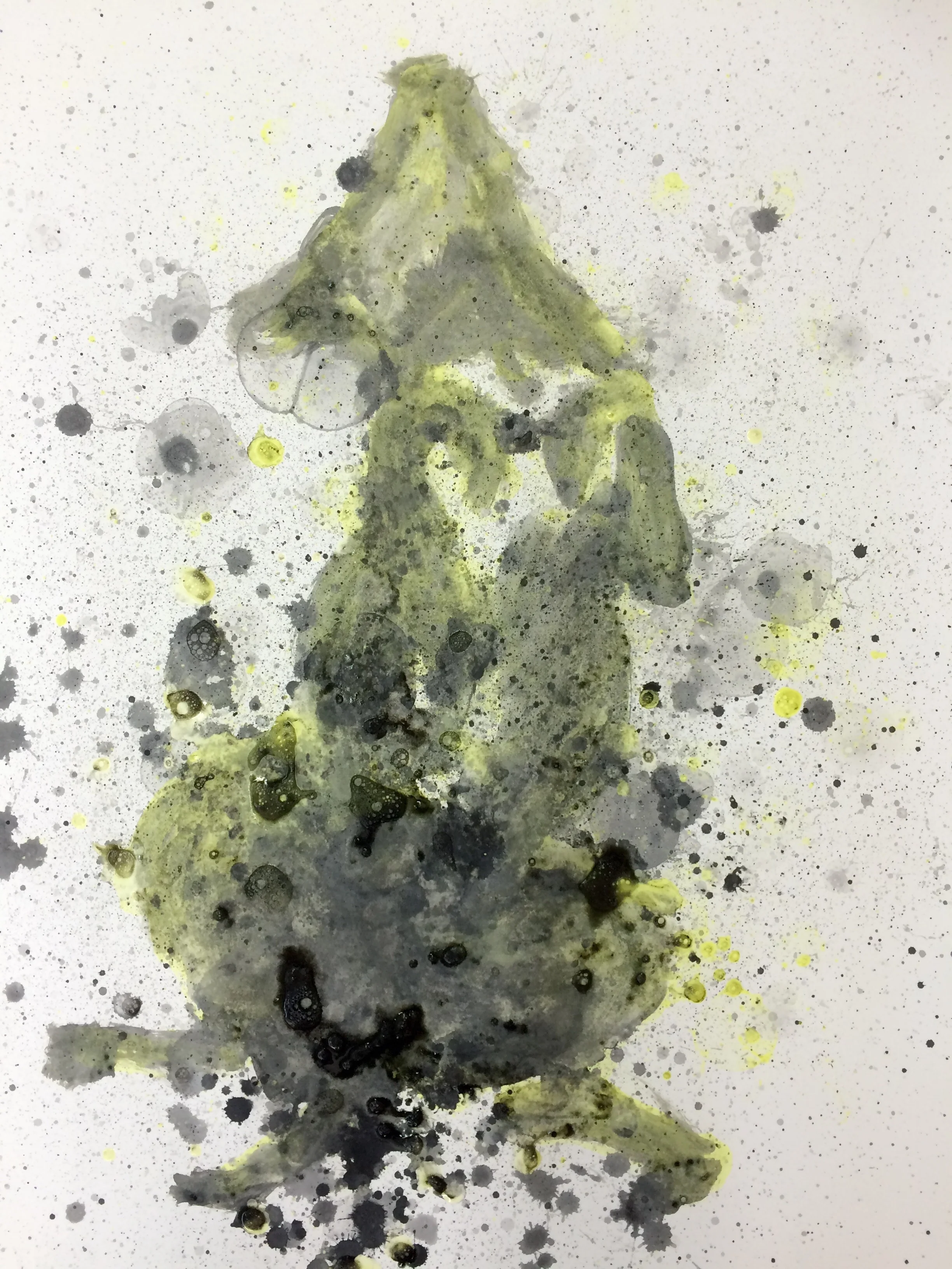 happy dog- yellow bubbles 30" x 22" on Stonehenge ink And color bubbles 