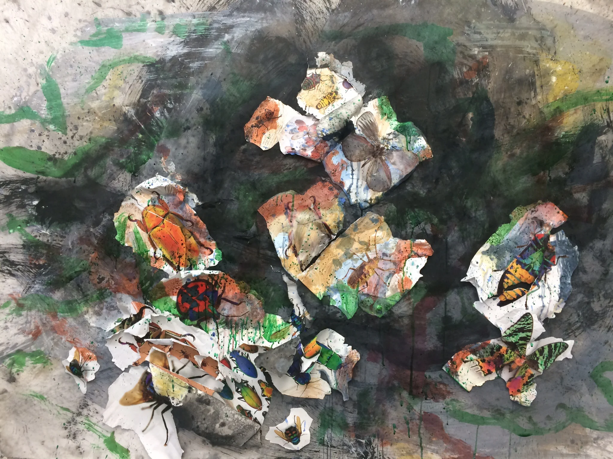 The pages/leaves stood out too much so I added color to blend them in or camouflage the insects. 