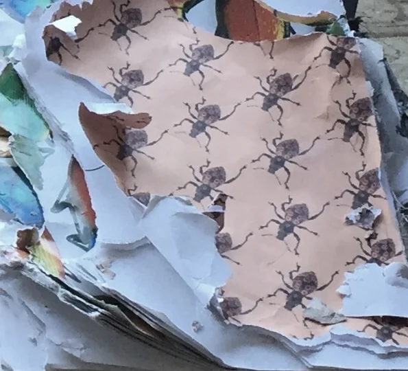 Coffee table book with chewed up pages. 