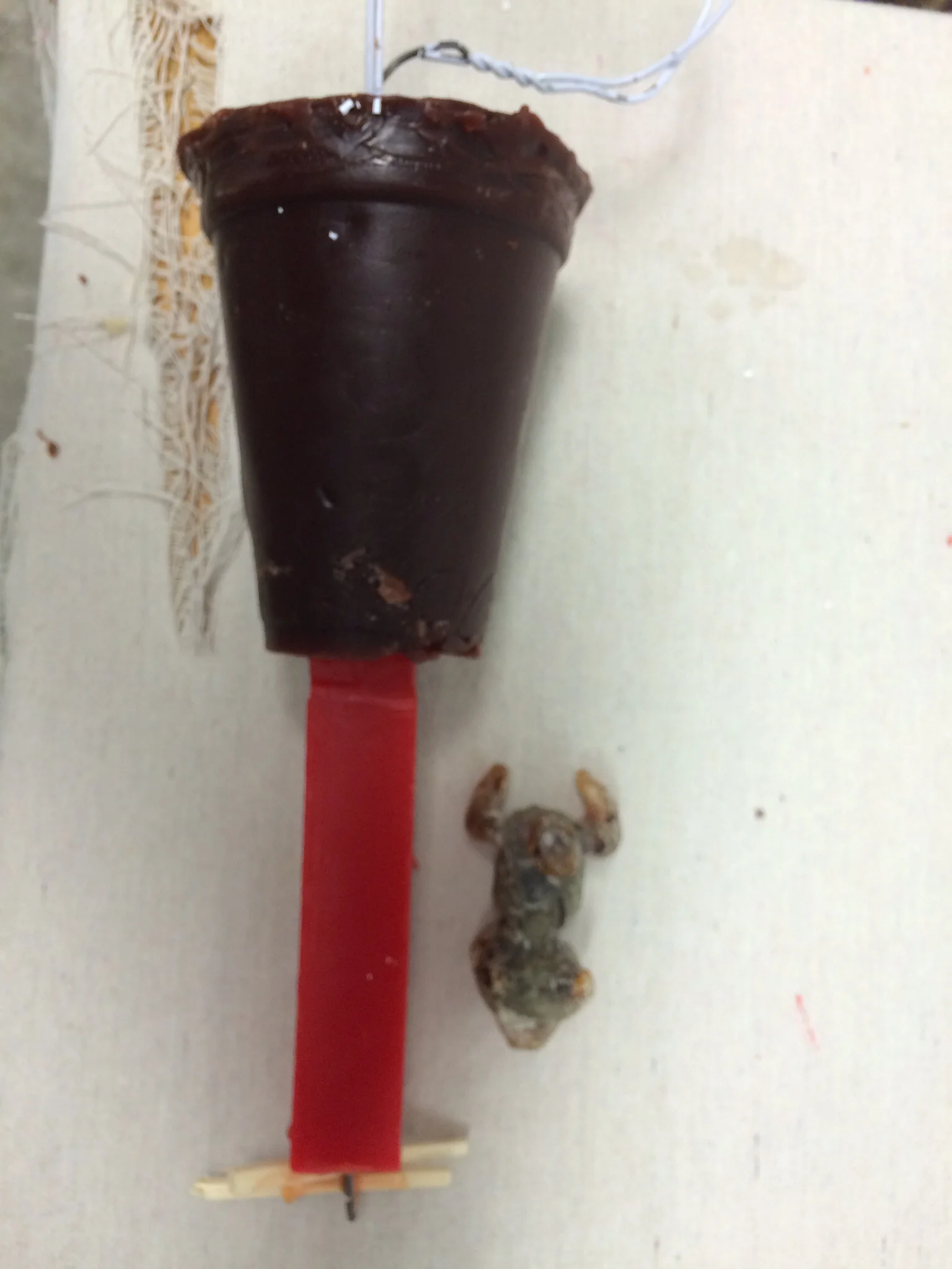 Here is the wax cup and main sprue that will be the main channel the bronze will flow through to get into the sculpture cavity.