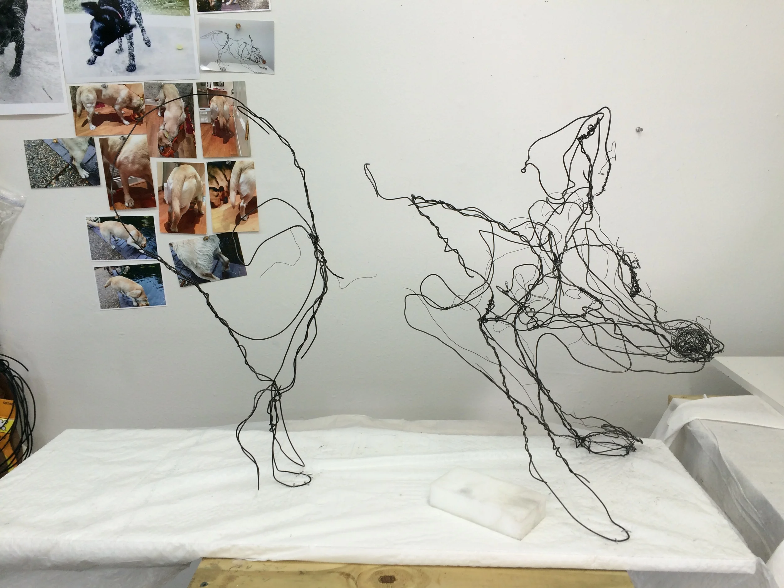 Building up the back right leg. It is planted in the middle of her body. Her right foot will be off the ground as she vigorously shakes her coat dry. 