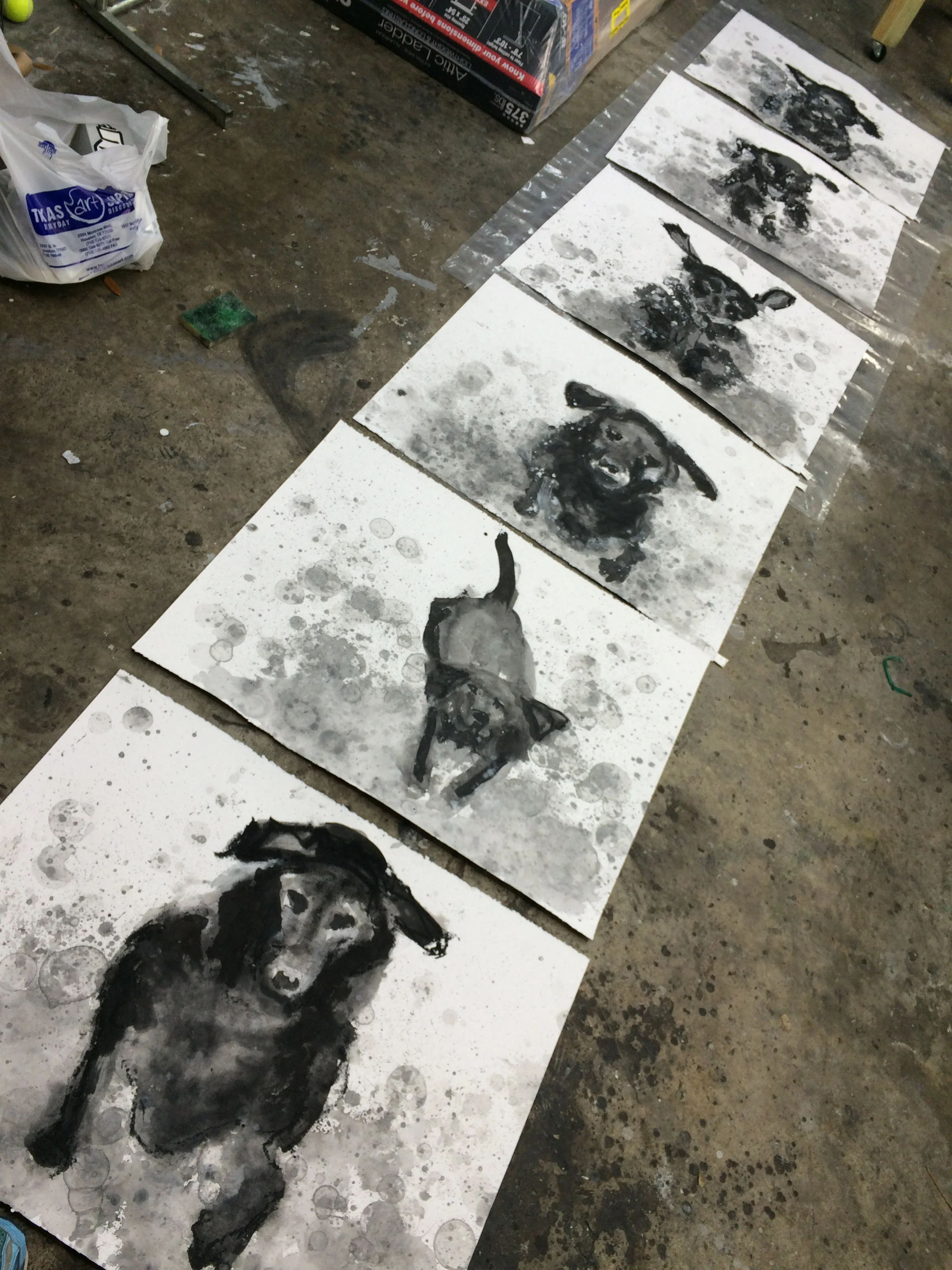 I started with 6 drawings. Sadly they will not all make the cut.