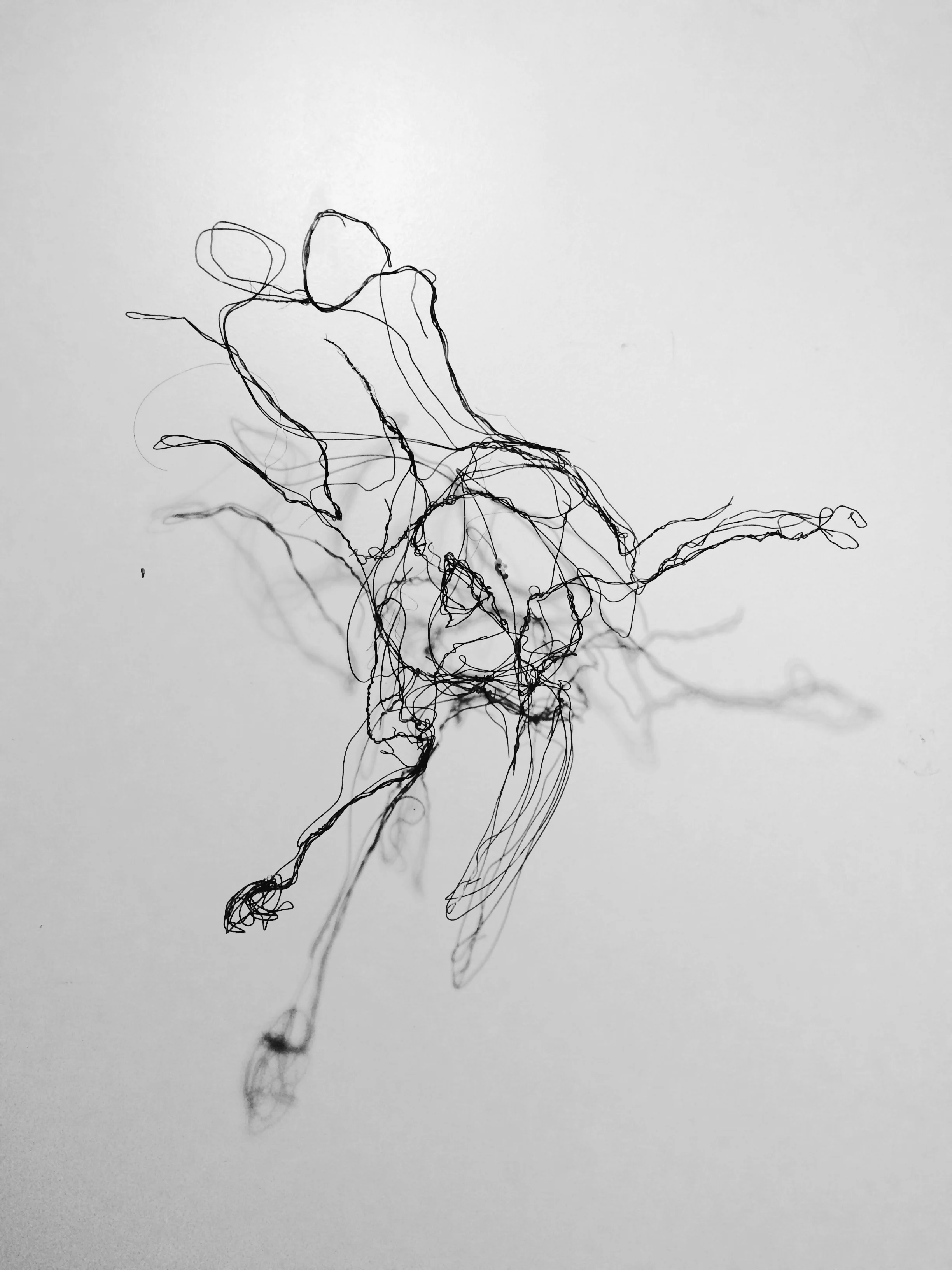 "happy dog deconstructed" wire hung on wall with fabulous lighting.