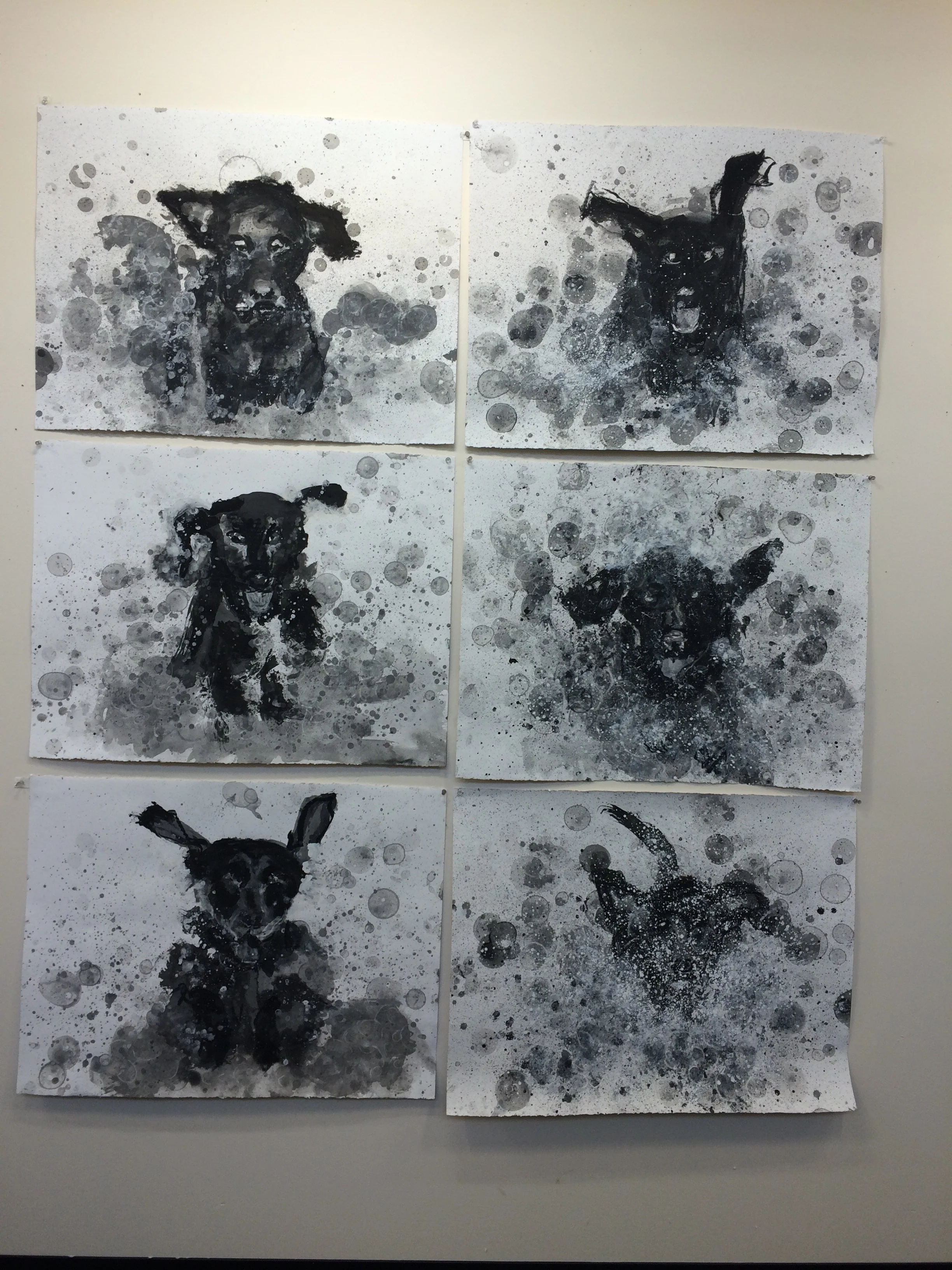 shake shake shake - fetch drawings I - VI ink, and charcoal on Stonehenge. 30" X 22"