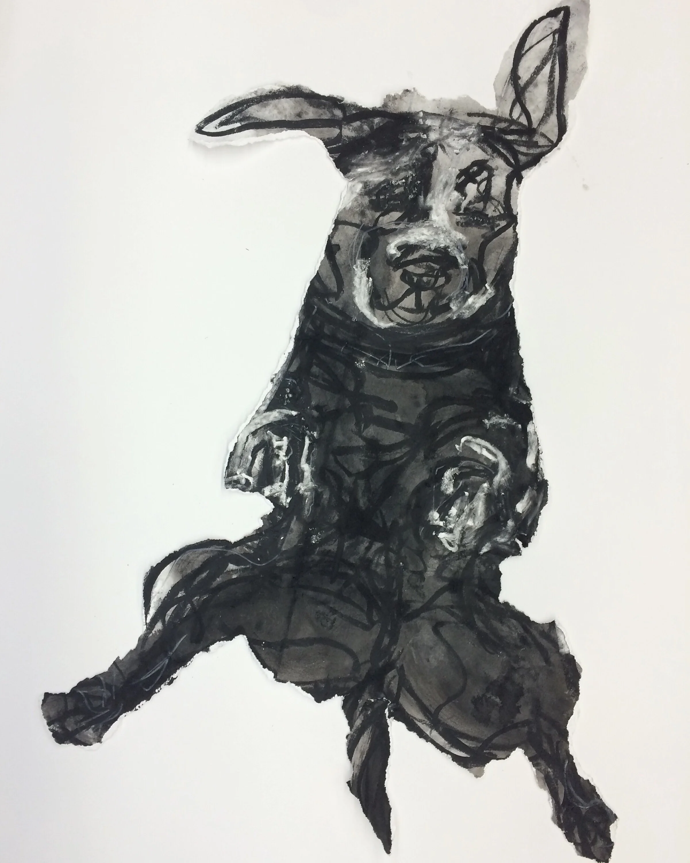 "Jump" 30" X 22" ink and charcoal on Stonehenge.