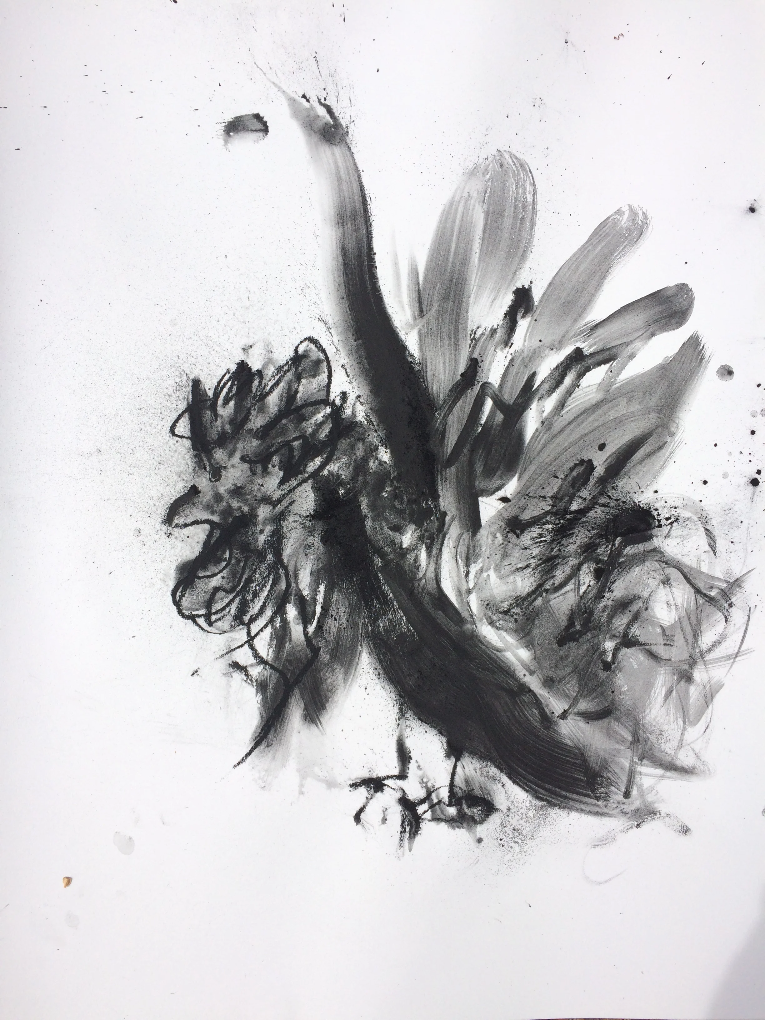"Chickens can save the planet too I" charcoal 30" X 22" on Stonehenge