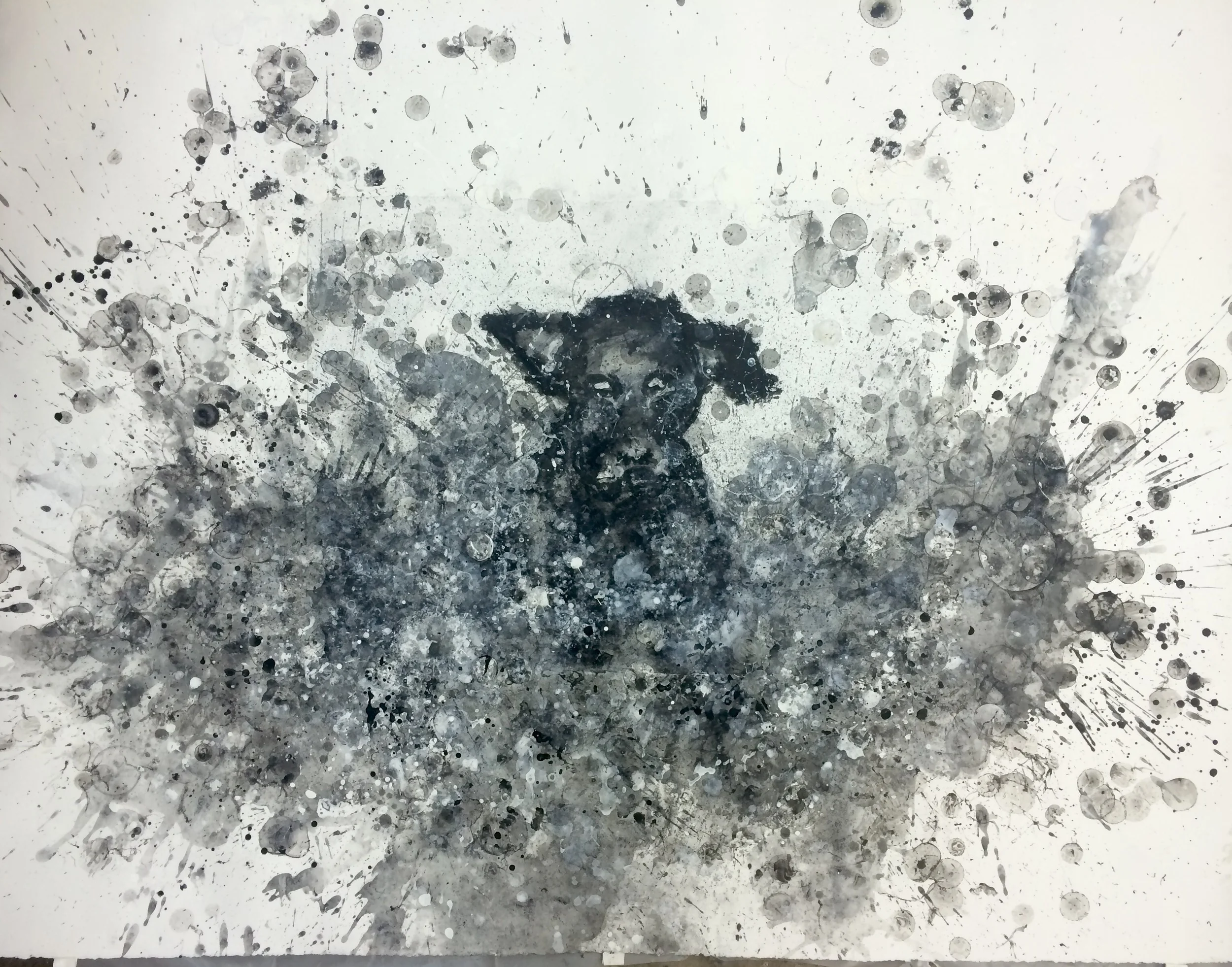 Shake shake shake - fetch I (sparrow) 50" X 60"