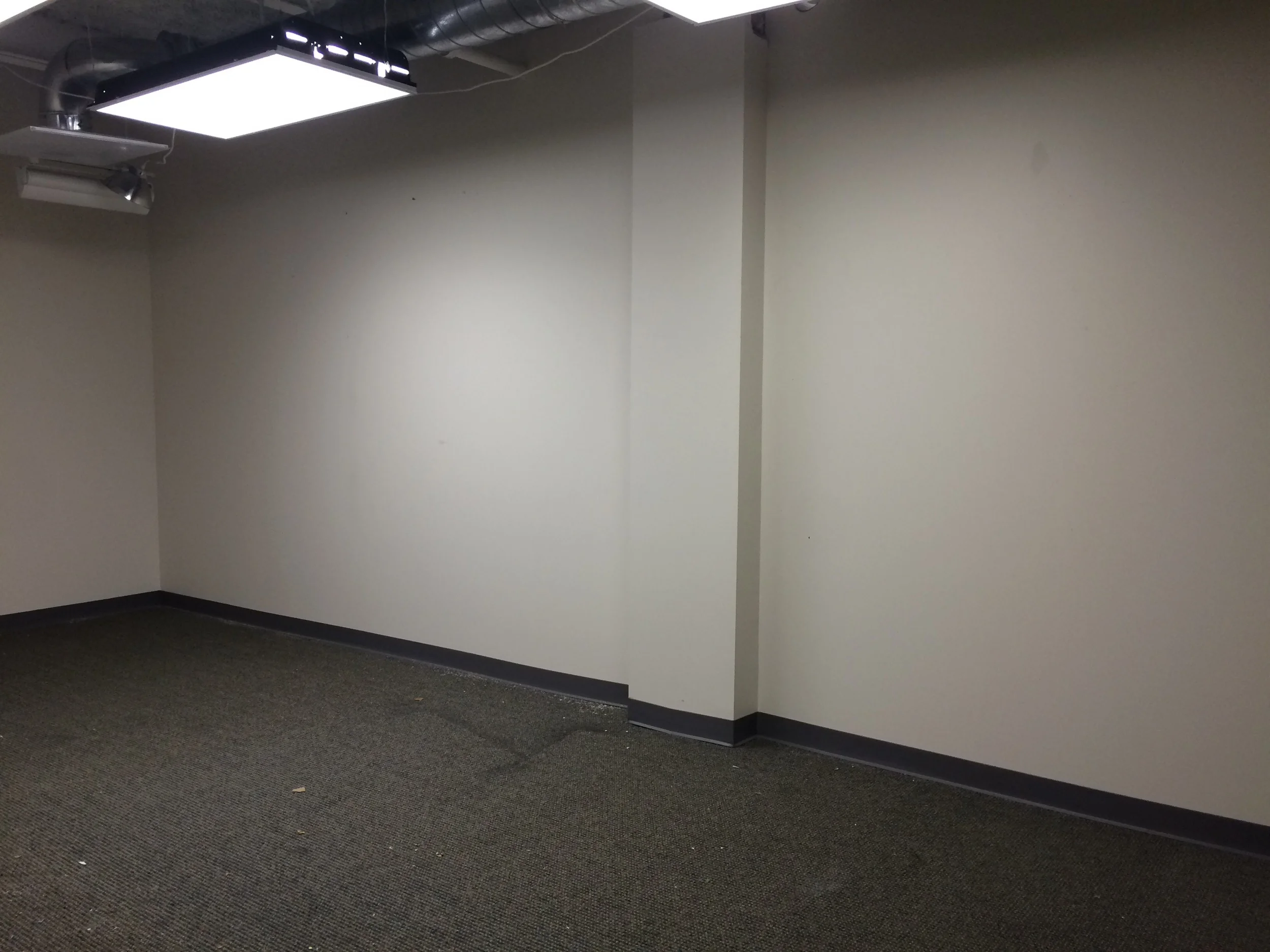 The longest wall. It has an awkward weird column right down the middle - but I can deal with it. 