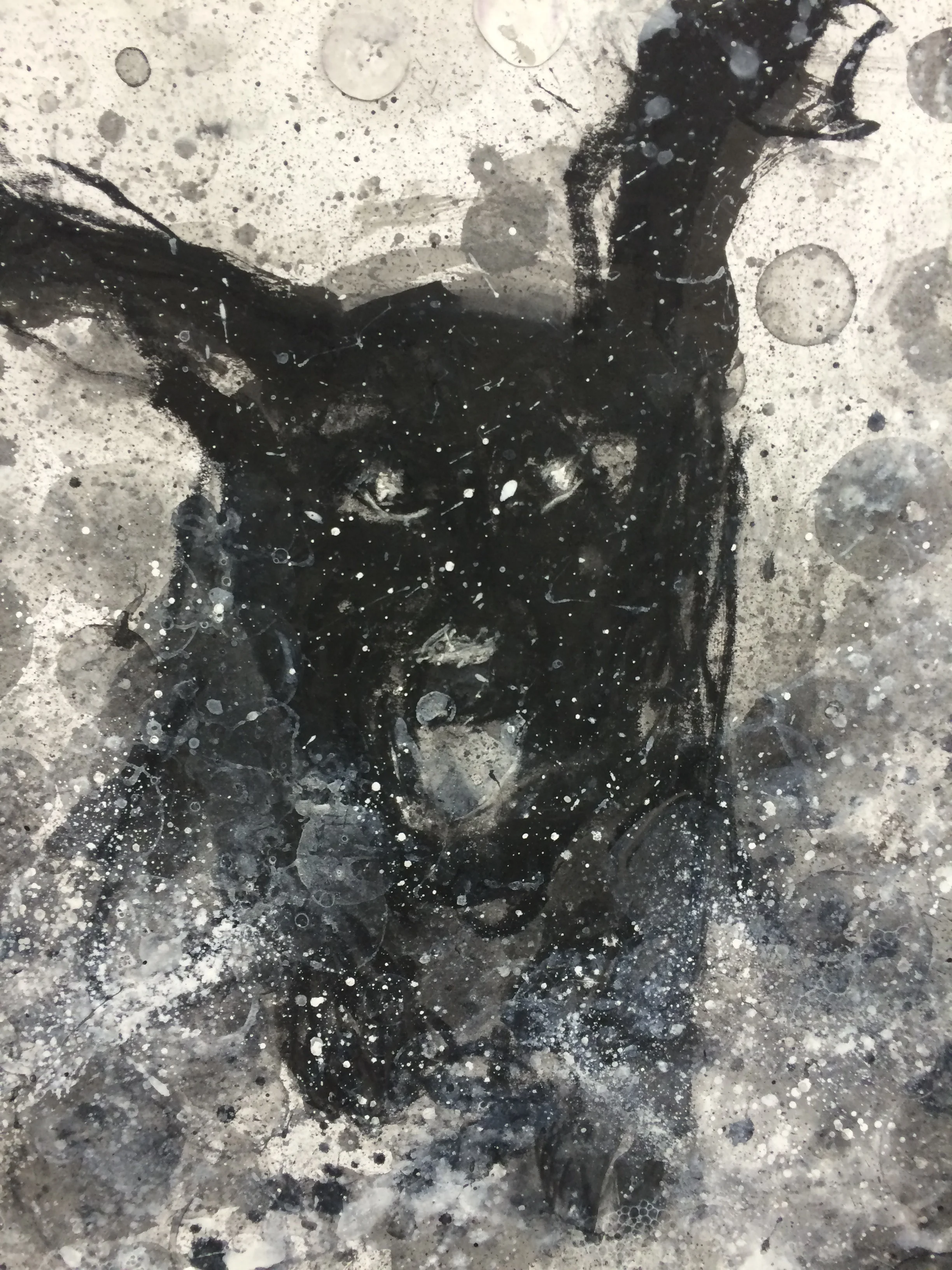 Detail of "fetch IV"