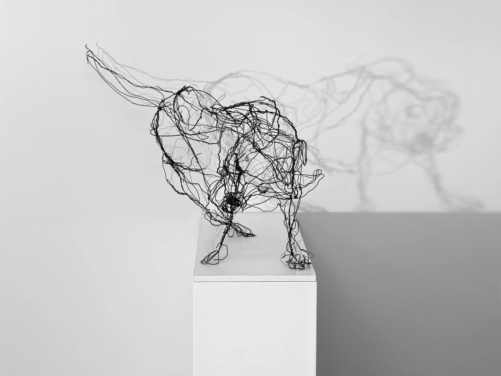 SHAKE SHAKE SHAKE - WIRE II