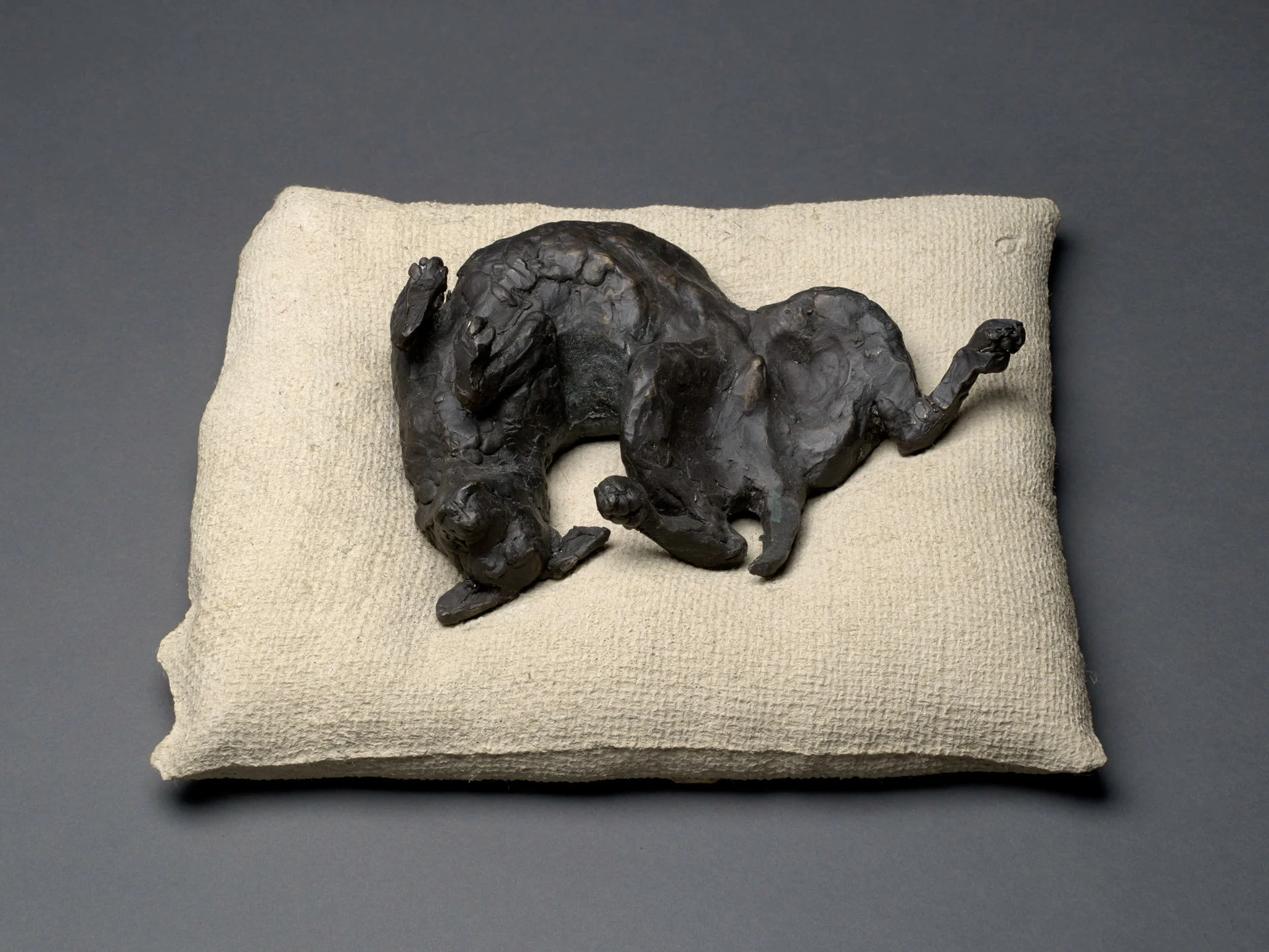 HAPPY DOG - on bed