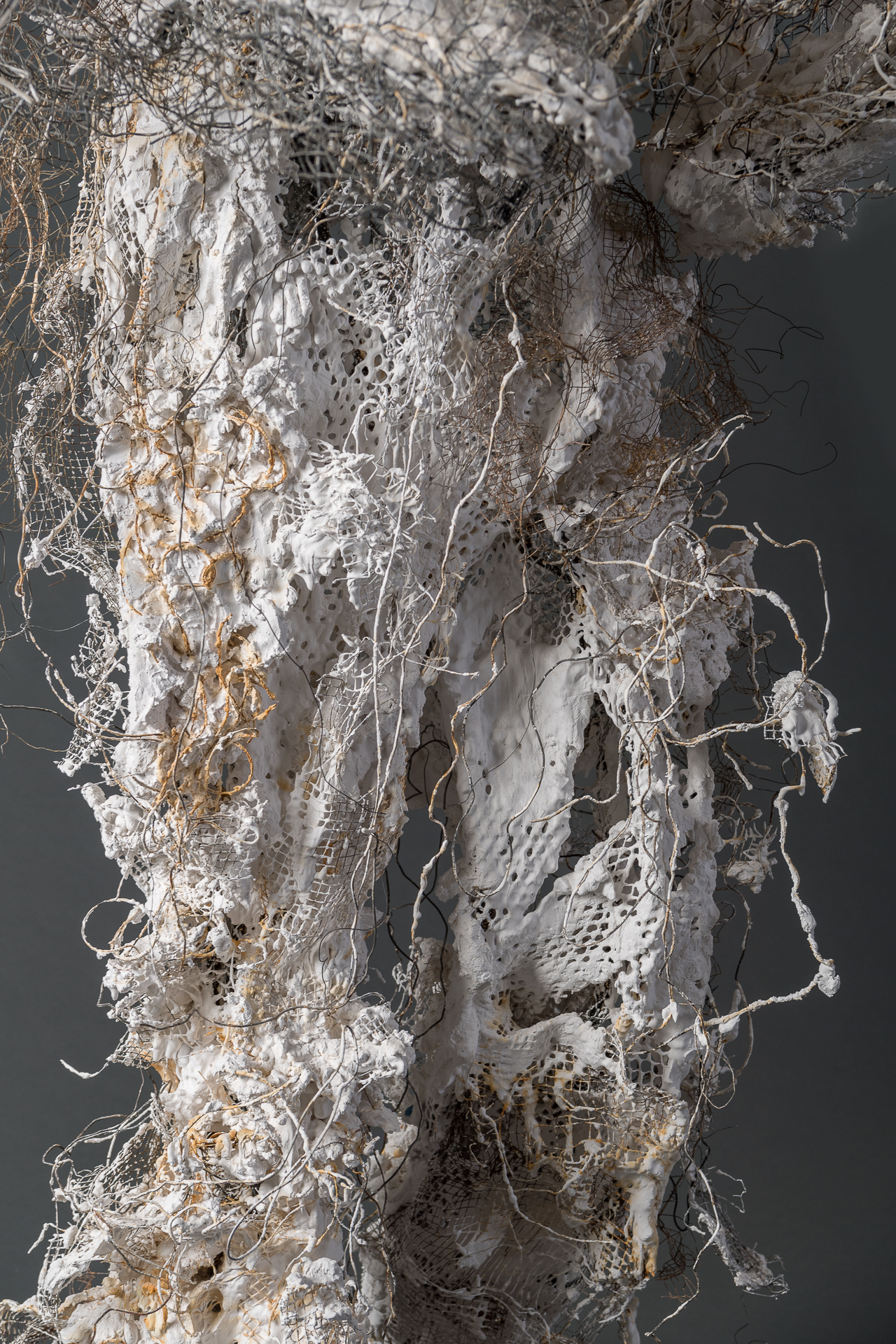 SONATA IN 4D - detail of legs