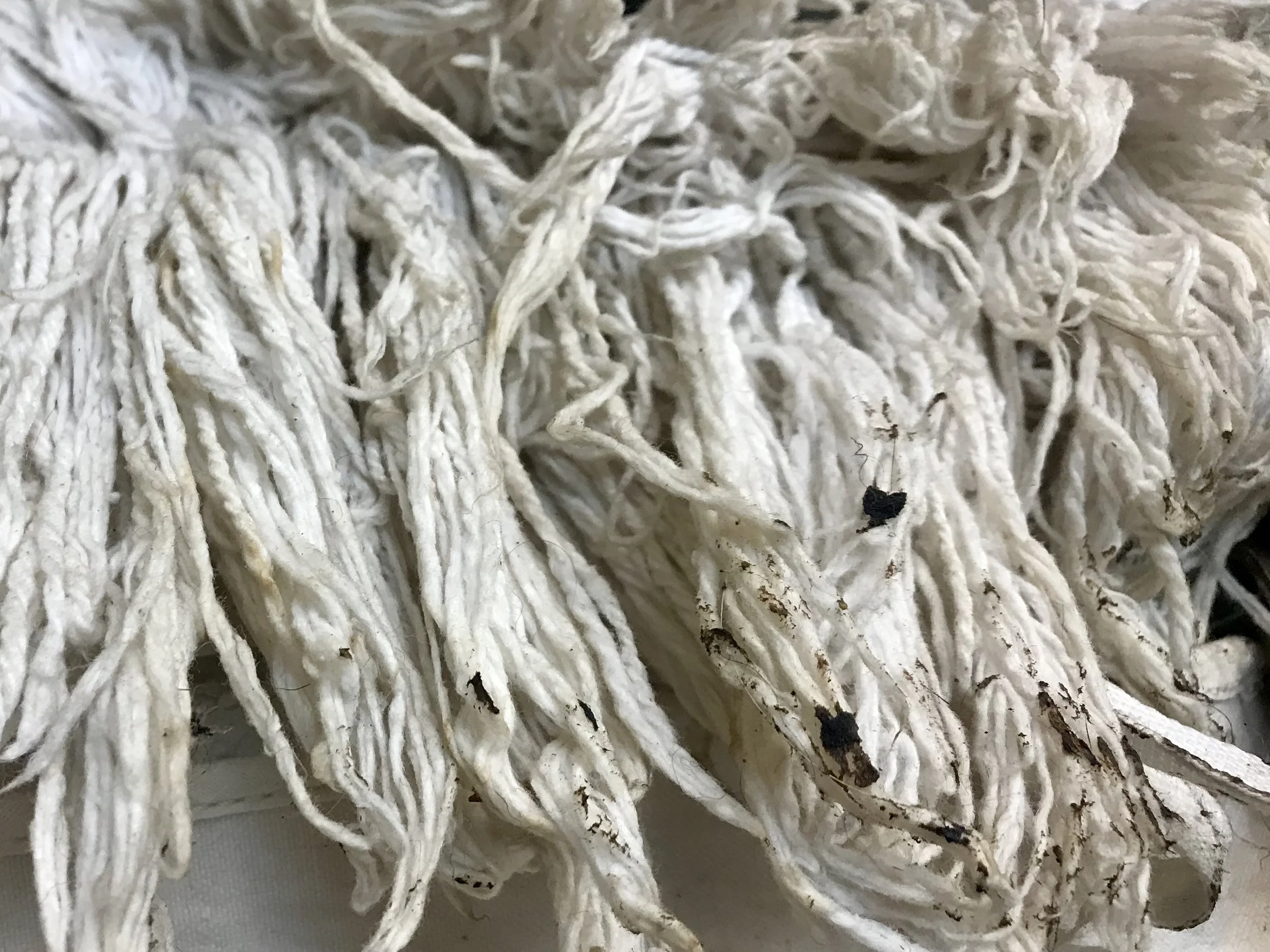 Floor dry mop