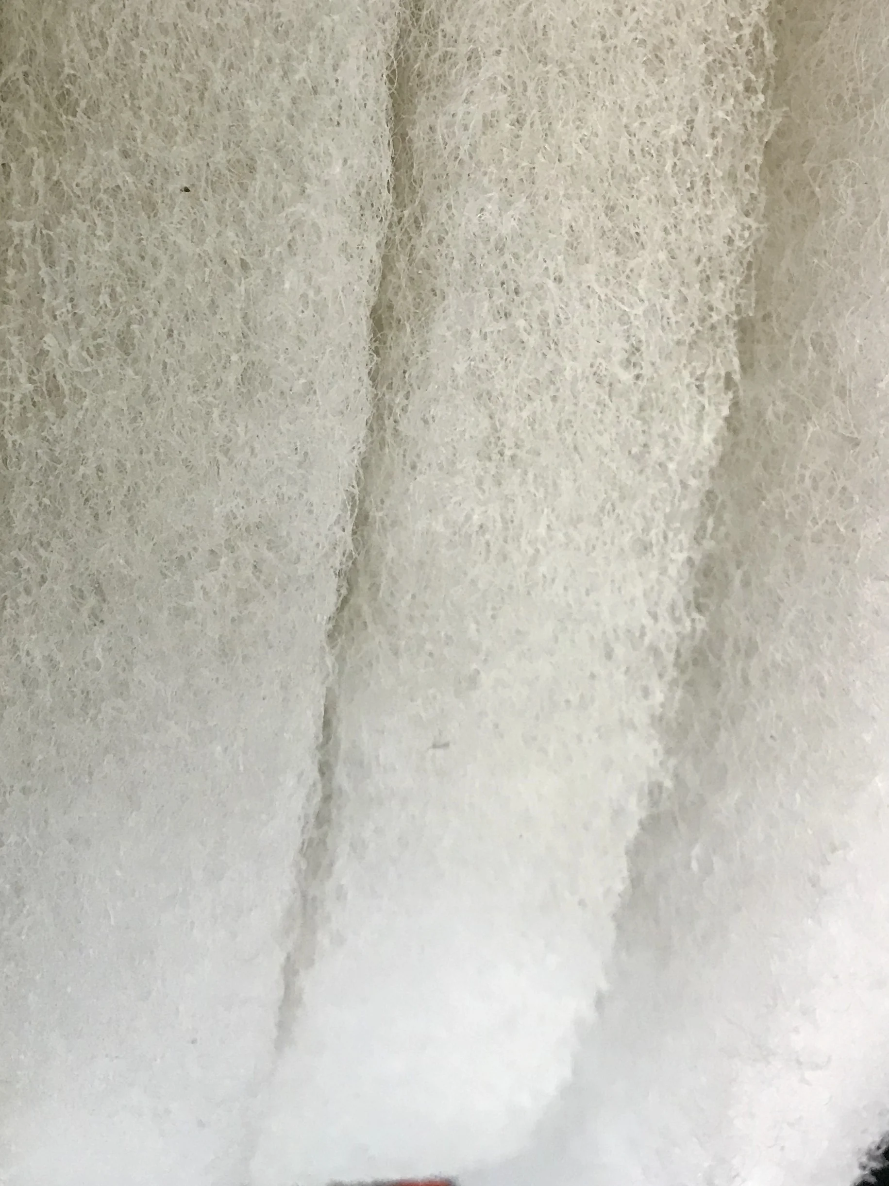 FullSizeRender.jpg