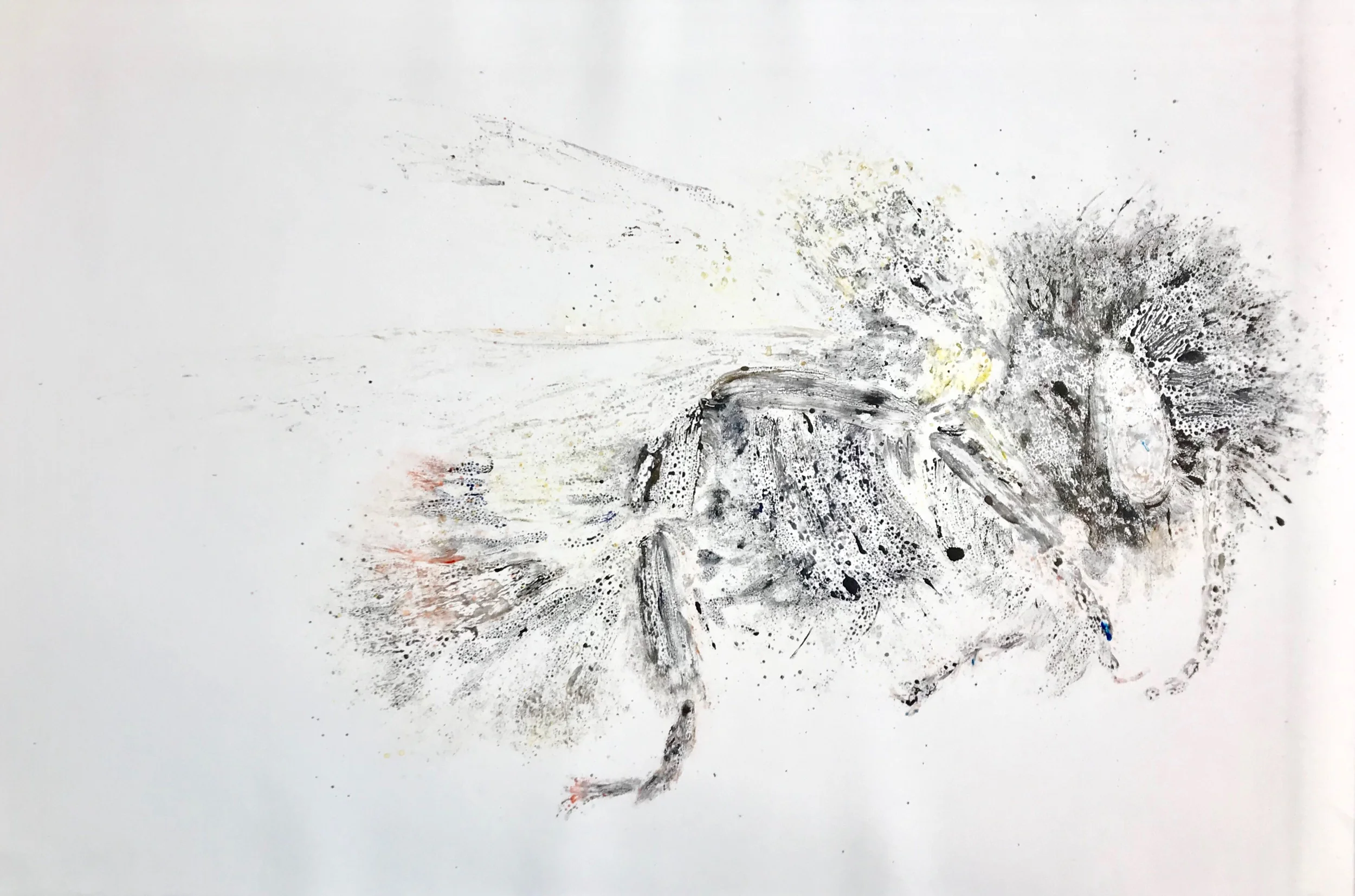 Bombus Affinis III ghost
