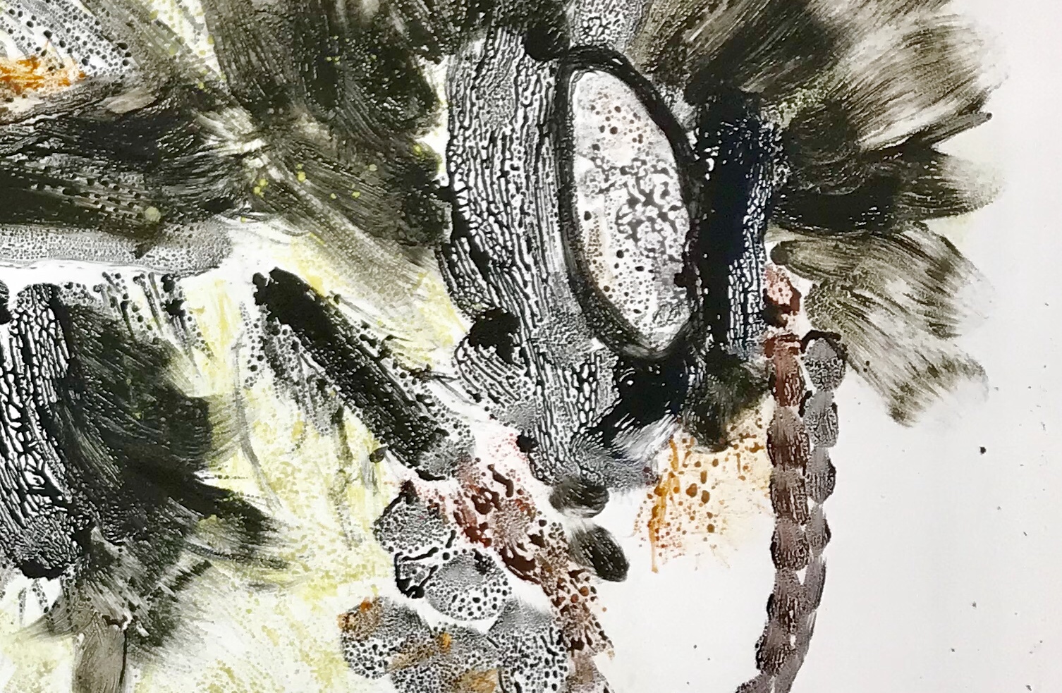 Bombus Affinis II compound eye detail.