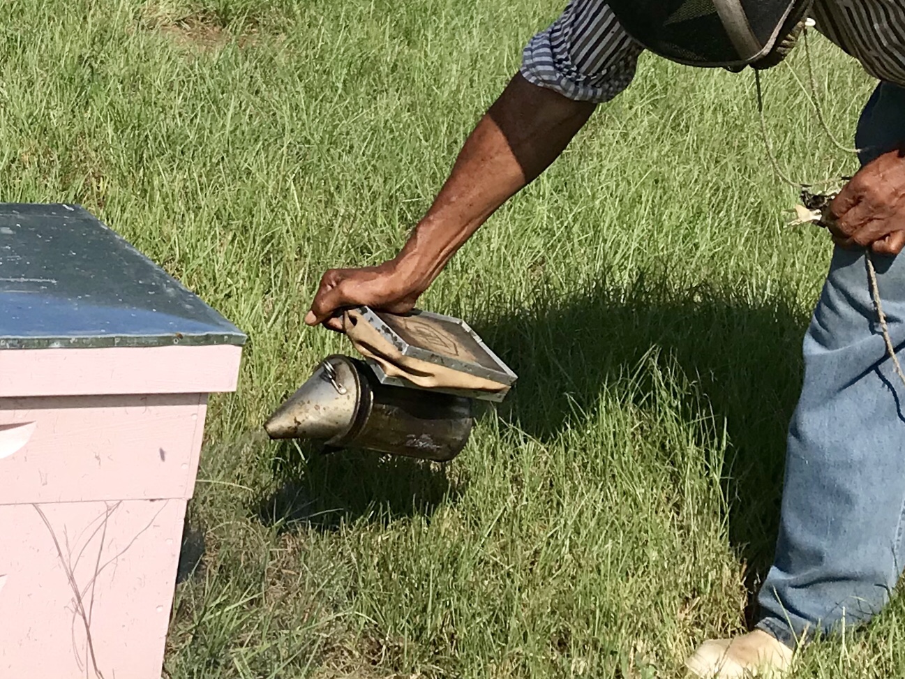 Roosevelt is smoking the honey bee boxes before we take a look Inside.. The smoke calms them down.