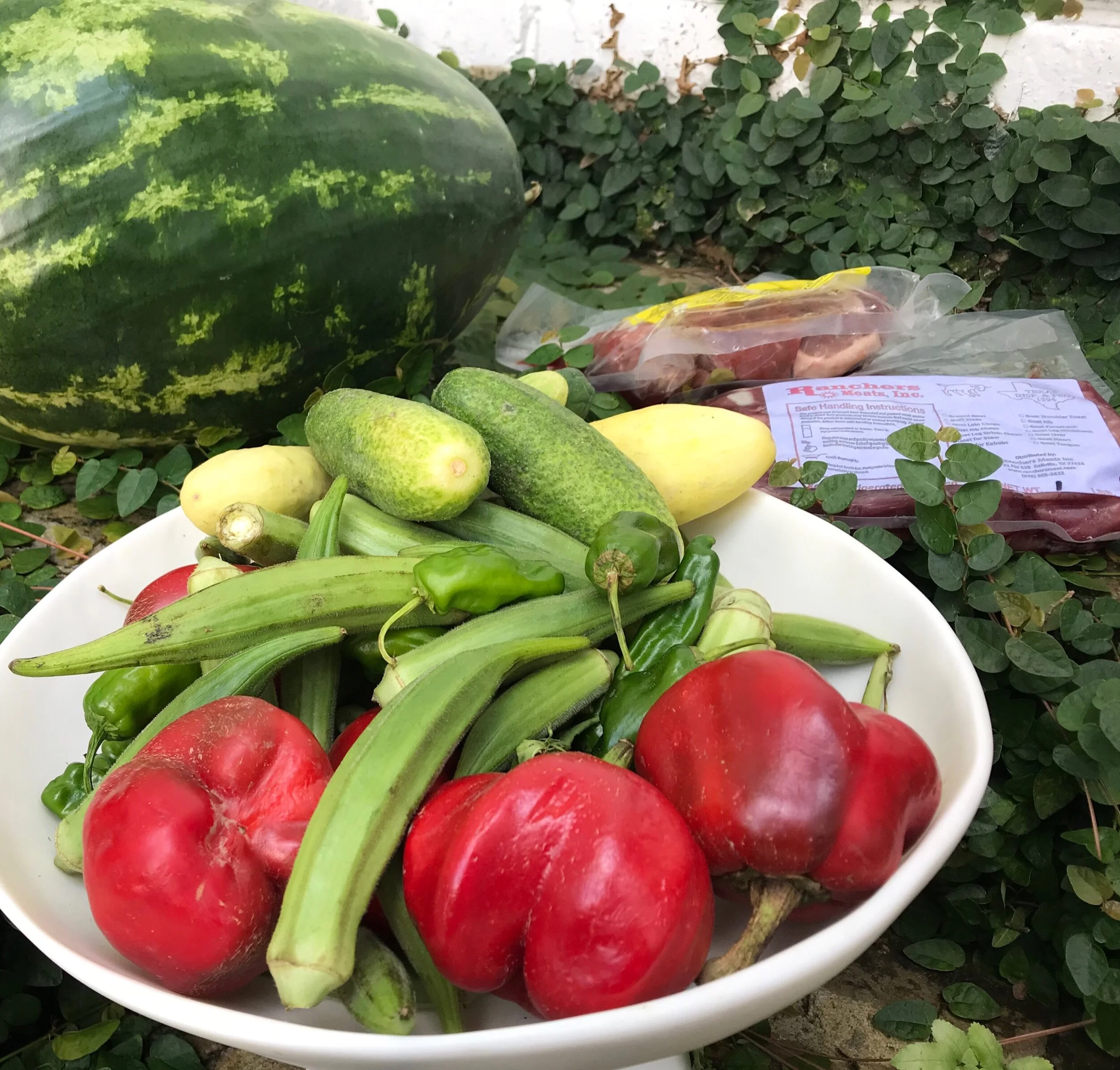 Without bees we would not have cucumbers or watermelons