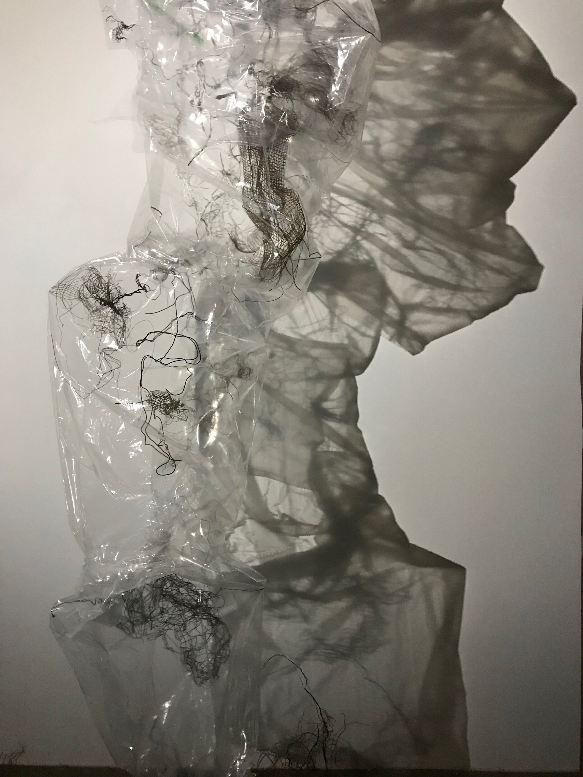 The pieces in bags make awesome amnion shadows