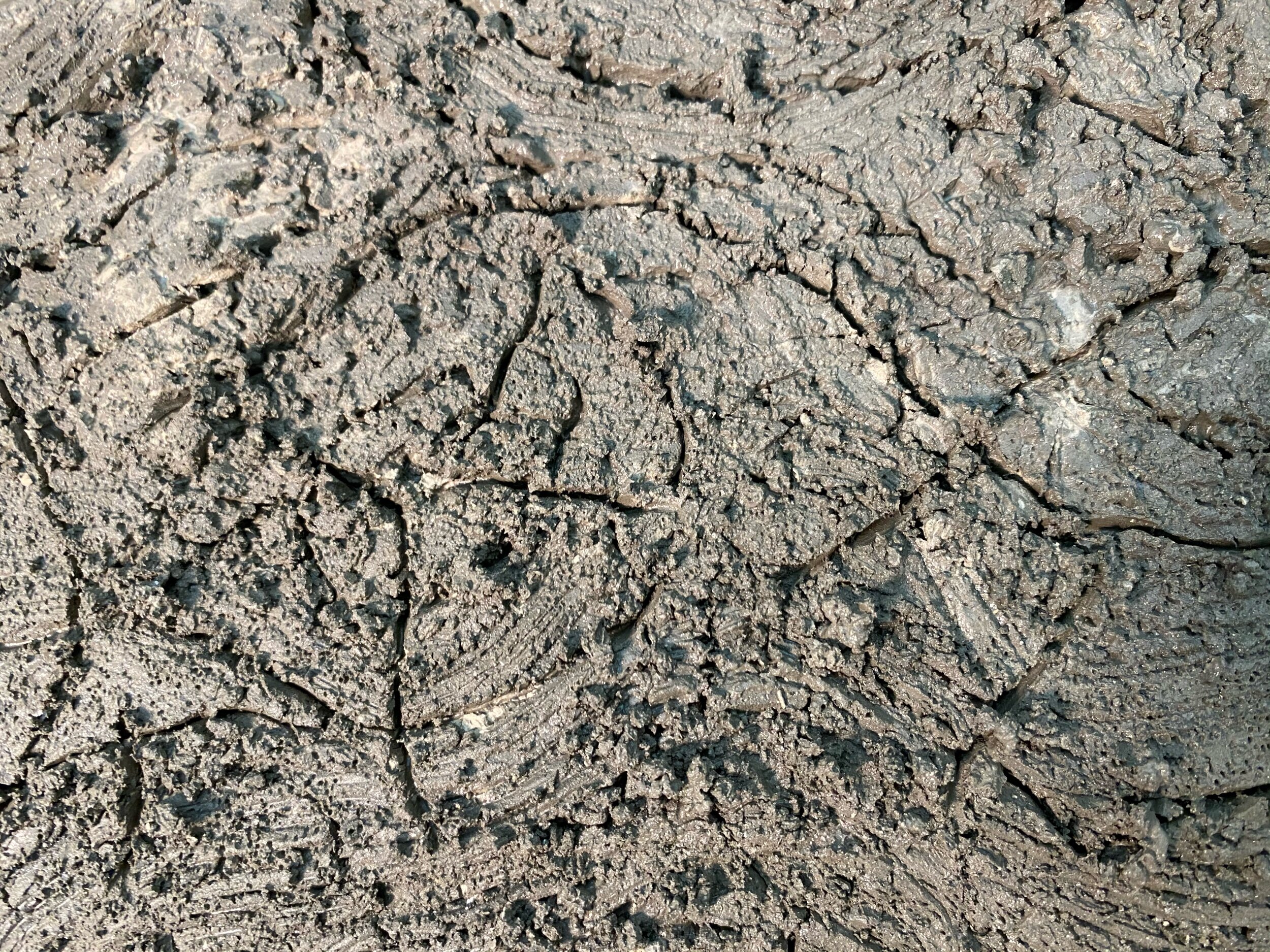 A sweet knot with some severe old wood cracks.