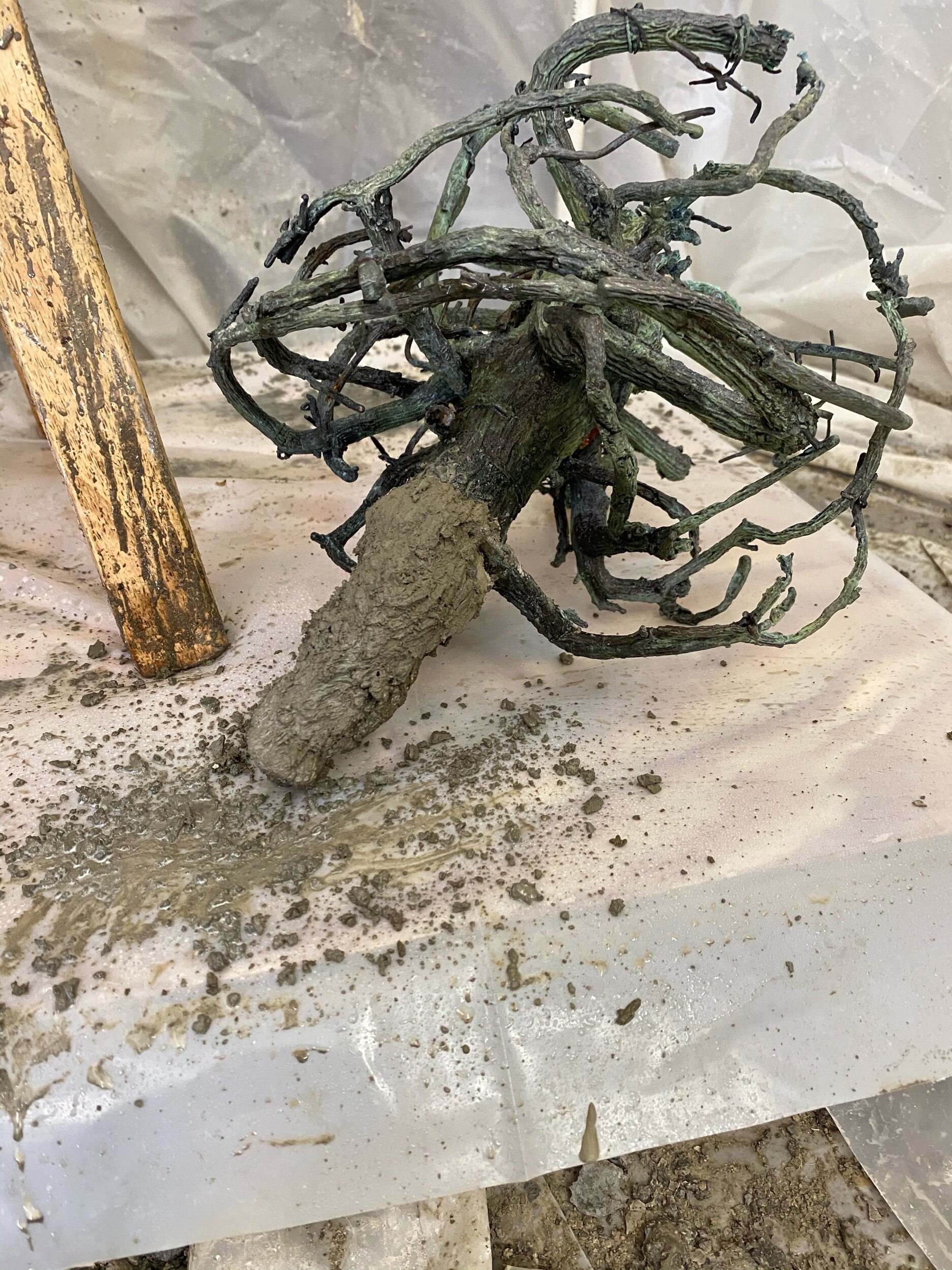 Adding a stump to this root. I am on the fence on this.