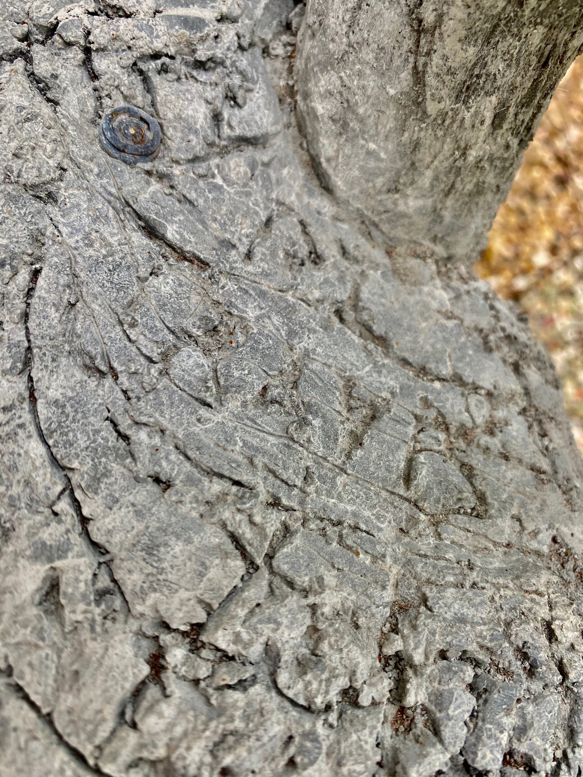 A piece of metal that was in my Dad’s ashes and his last name - Travis carved to the right of the metal bolt. I am guessing it is from one of his four hip replacements.
